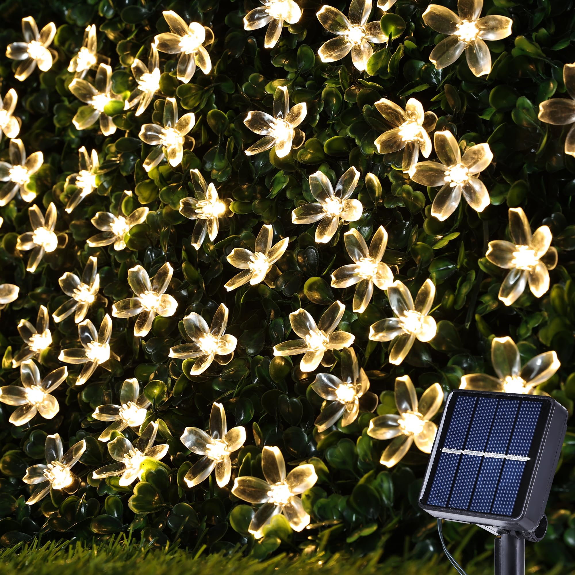 Hands holding illuminated Joomer Solar Cherry Blossom String Lights