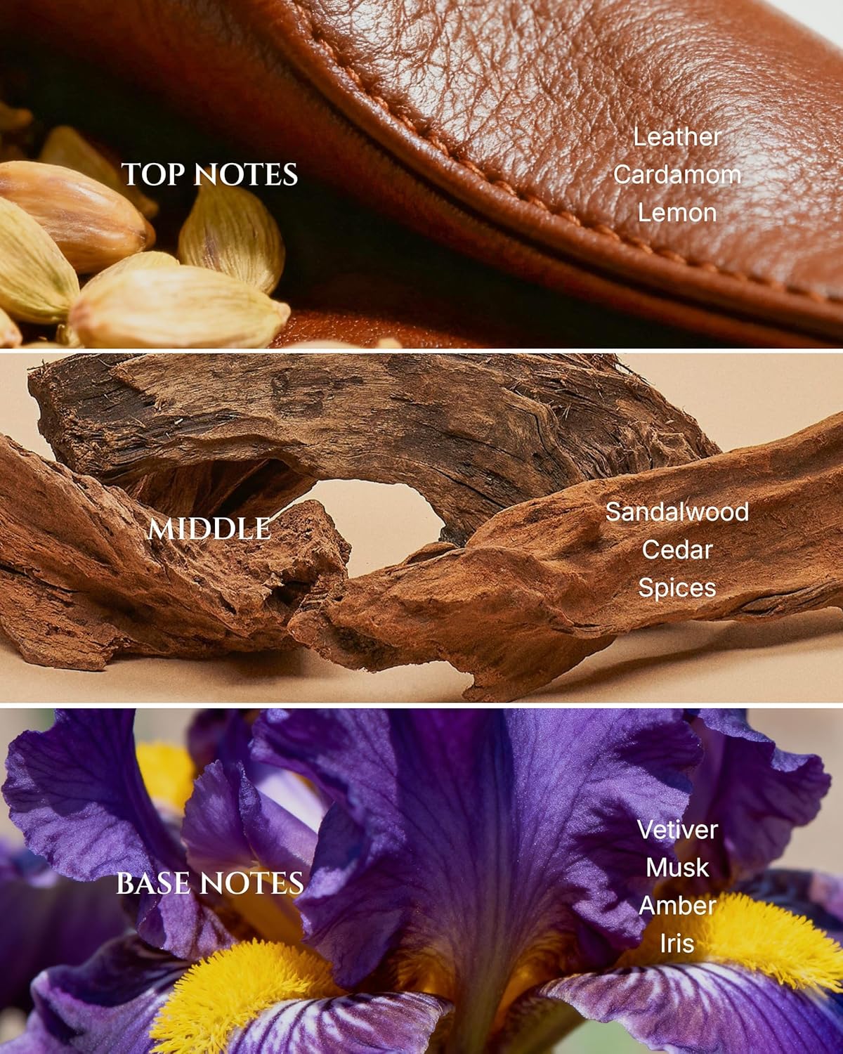 AROMADD Way Diffuser Oil Inspired by Luxury Hotel Scent 3.38 Fl Oz (100ml), Aroma Diffuser & Hotel Fragrance Diffuser Oil, Essential Oil Diffuser for Aromatherapy, Long-Lasting - Image 2