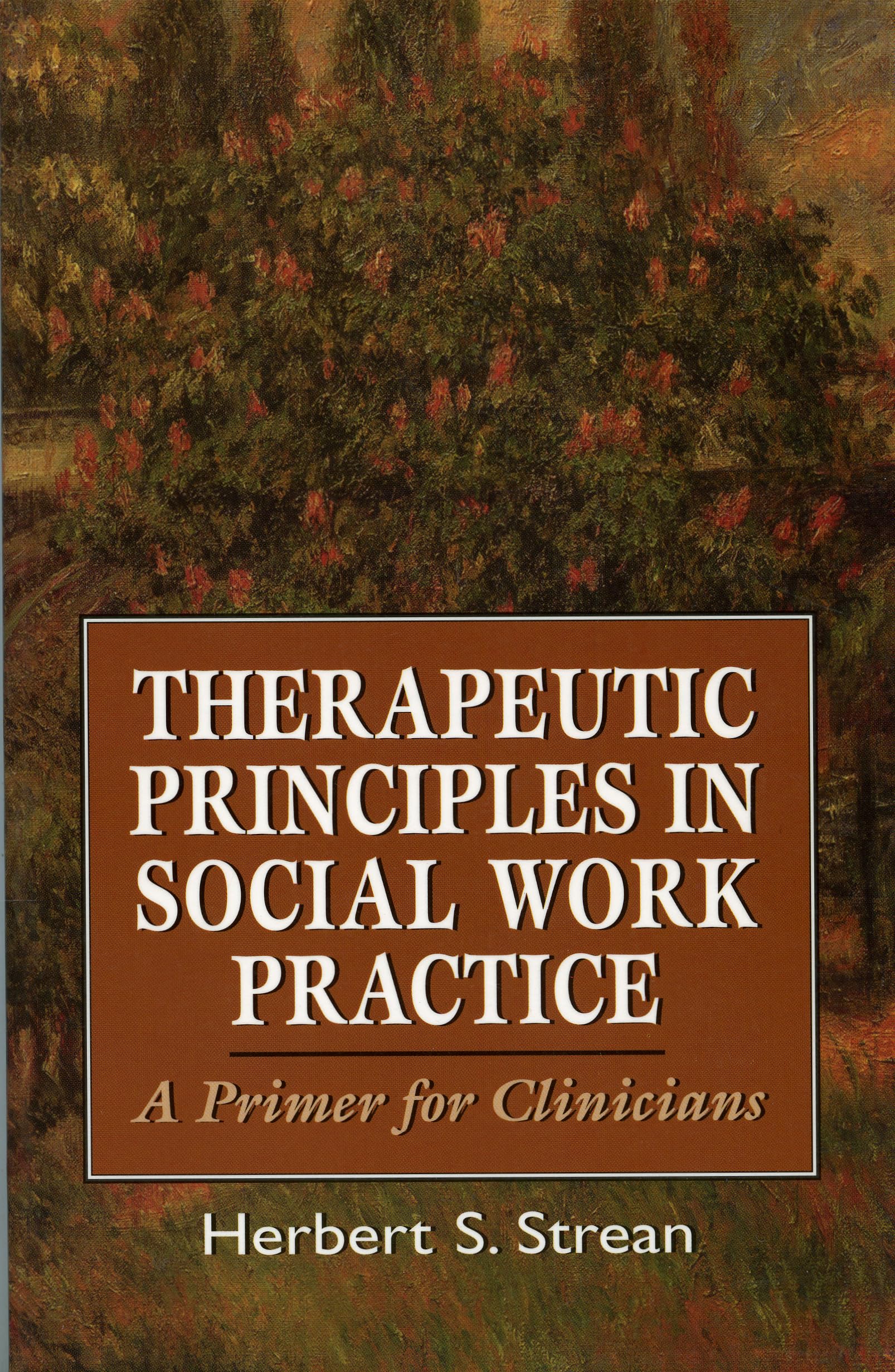 Therapeutic Principles in Social Work Practice: A Primer for Clinicians (Master Work)