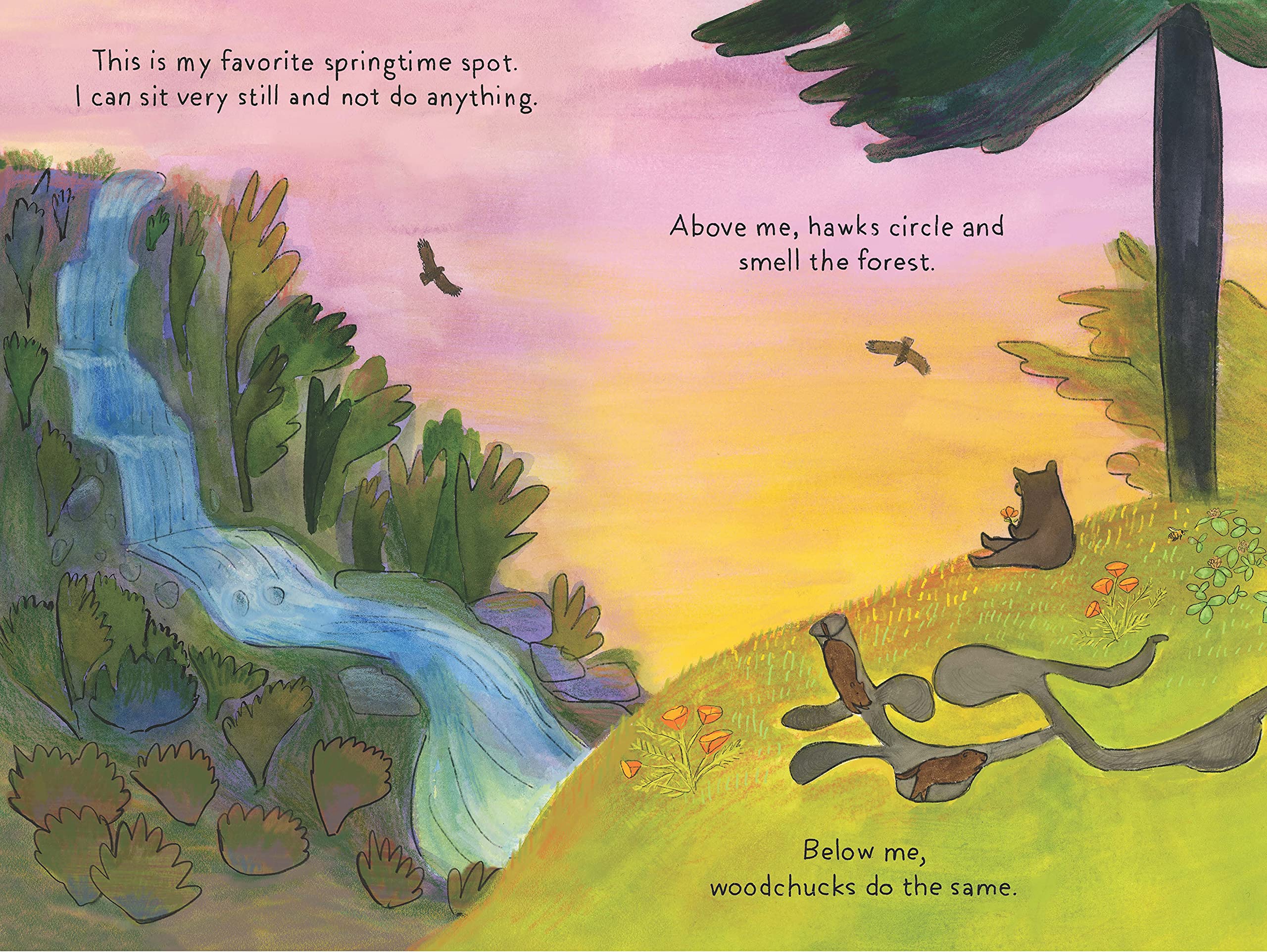 A Cub Story (An Animal Story) - Image 8