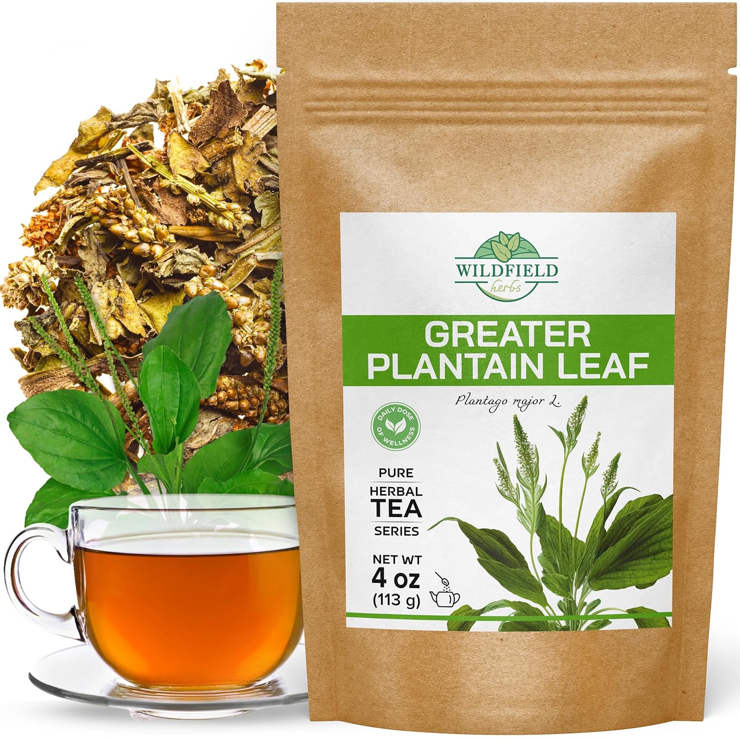 Amazon.com : 4 oz. Broadleaf Plantain Leaf Herb Tea Dried Plaintains ...