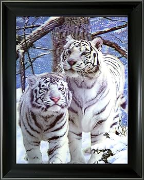 Amazon.co.jp: [新登場] 3D + 額入りレンチキュラー3D写真