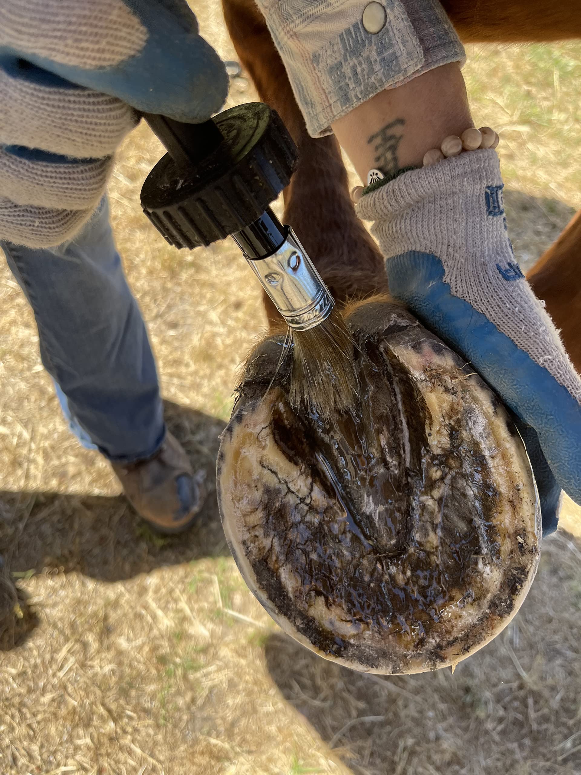 Pure Sole Hoof Oil - All Natural Hoof Conditioner for Horses with Hoof Oil Brush Applicator - Strengthens, Moisturizes and Treats Hoof Problems - 16 fl oz. - image 6
