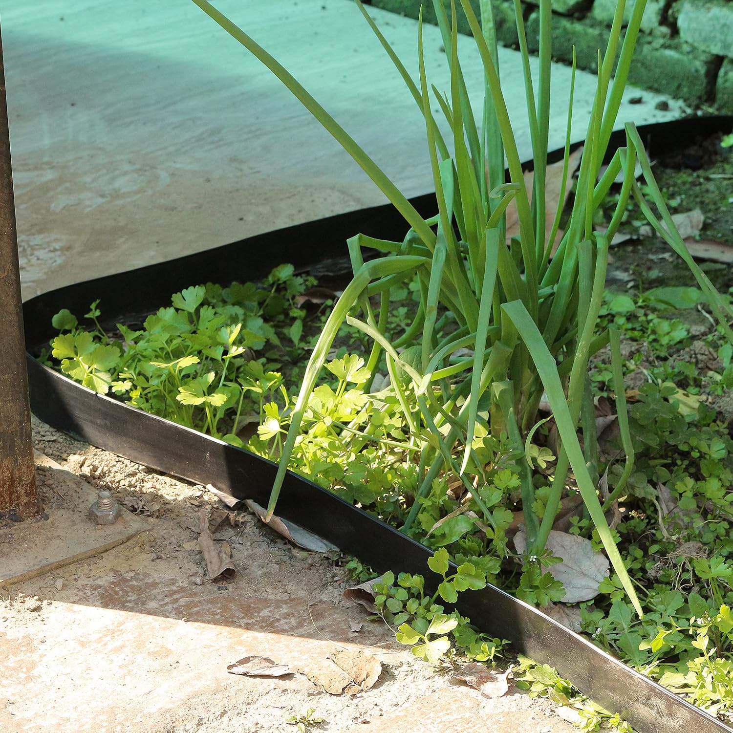 Gardzen 1.5" x33' Landscape Edging Kit, Garden Edging Coil Comes with 38 Pcs Spikes, No Dig Lawn Border Design