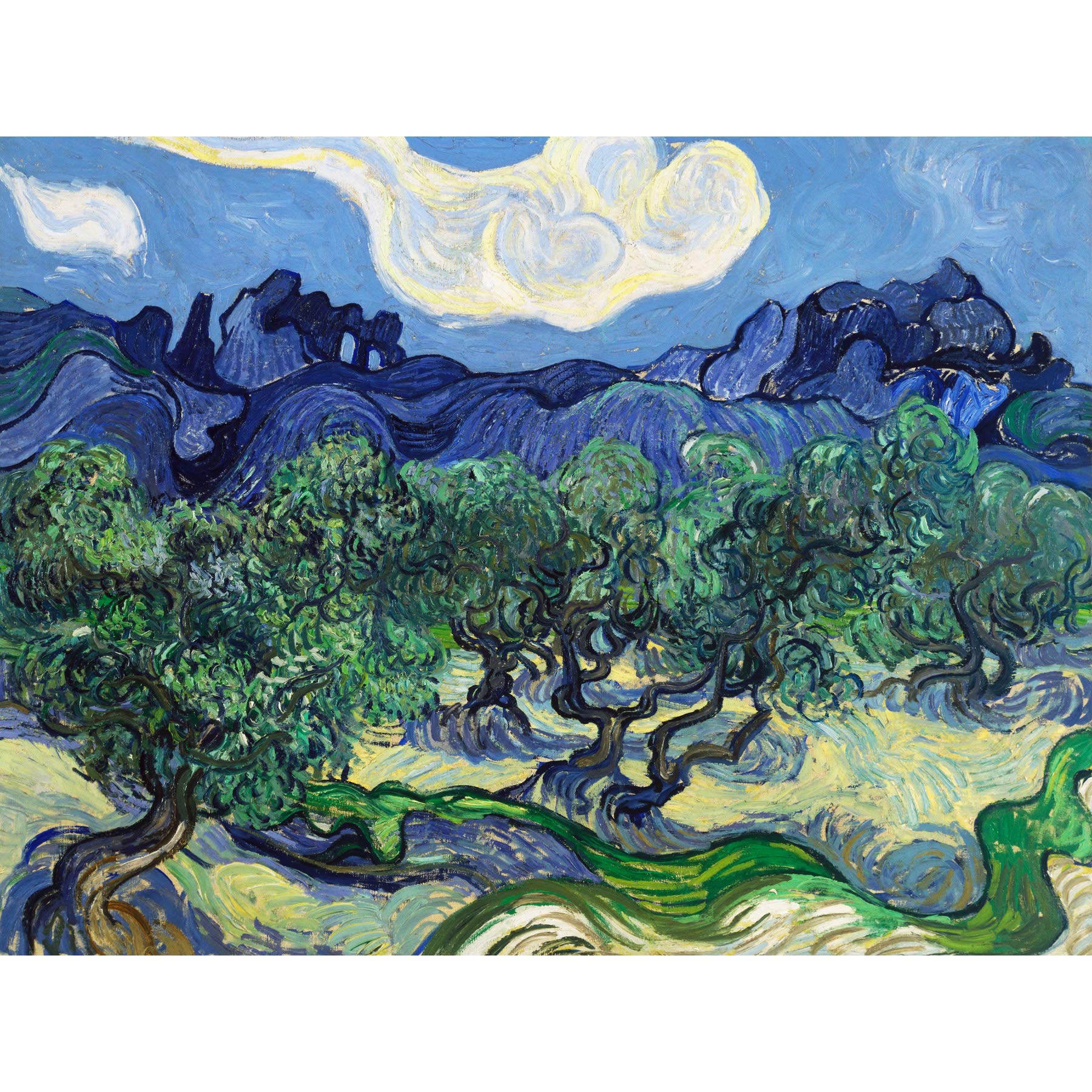 Vincent Van Gogh The Olive Trees Large Wall Art Print Canvas Premium Poster Mural