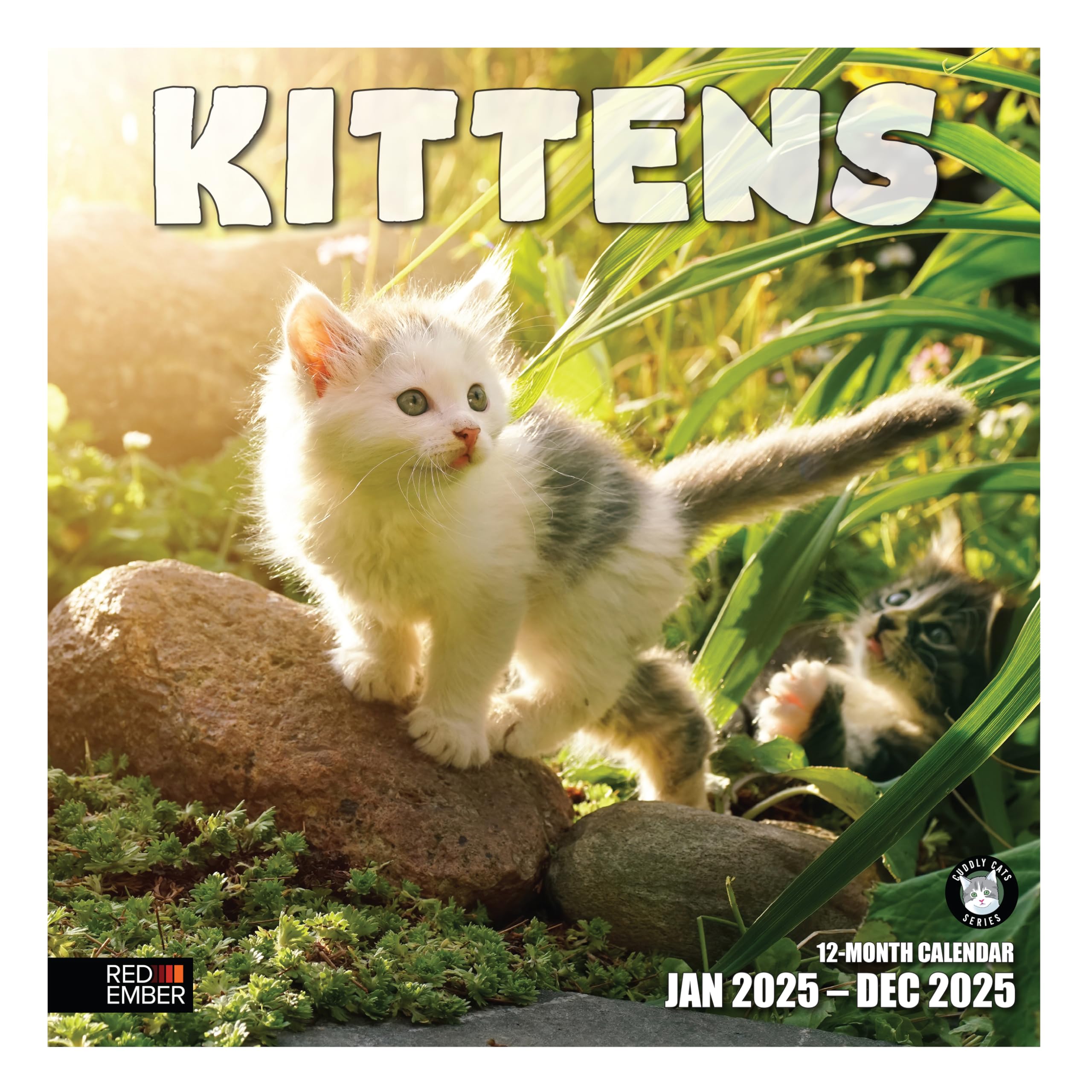 RED EMBERKittens 2025 Wall Calendar 12 Month | 12" x 24" Open | Thick & Sturdy Paper | Giftable | Calendar 2025
