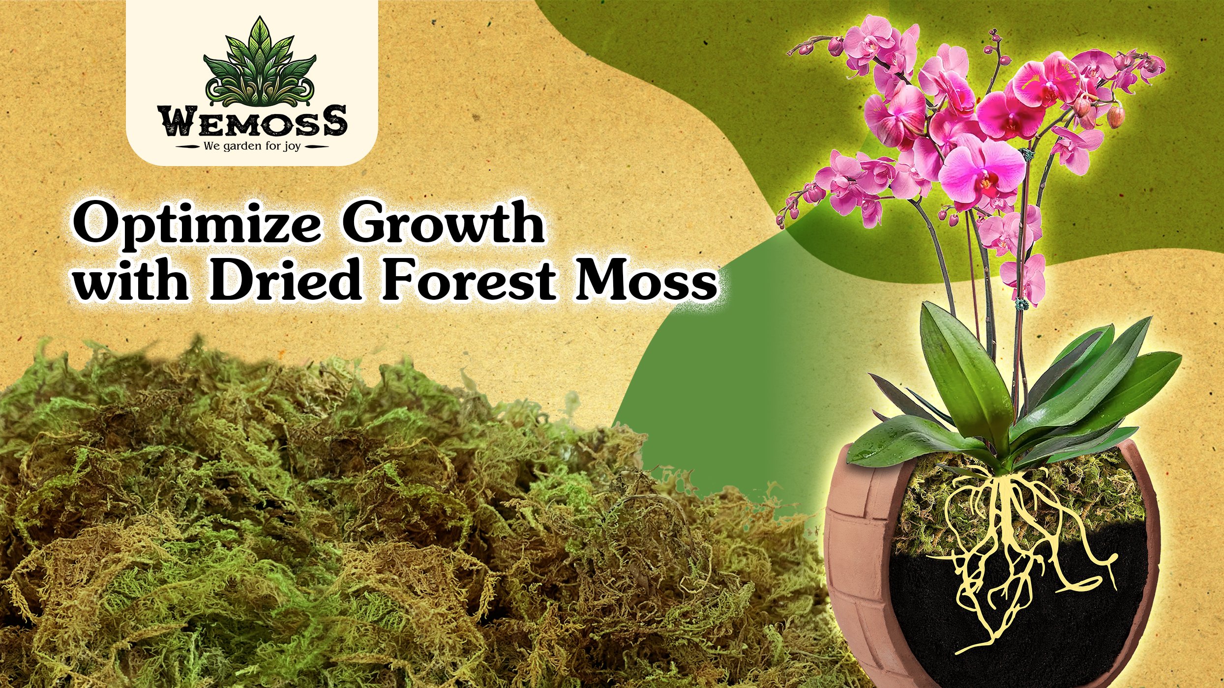 Amazon.com: WEMOSS Natural Moss for Plants Indoor, Dried Moss for