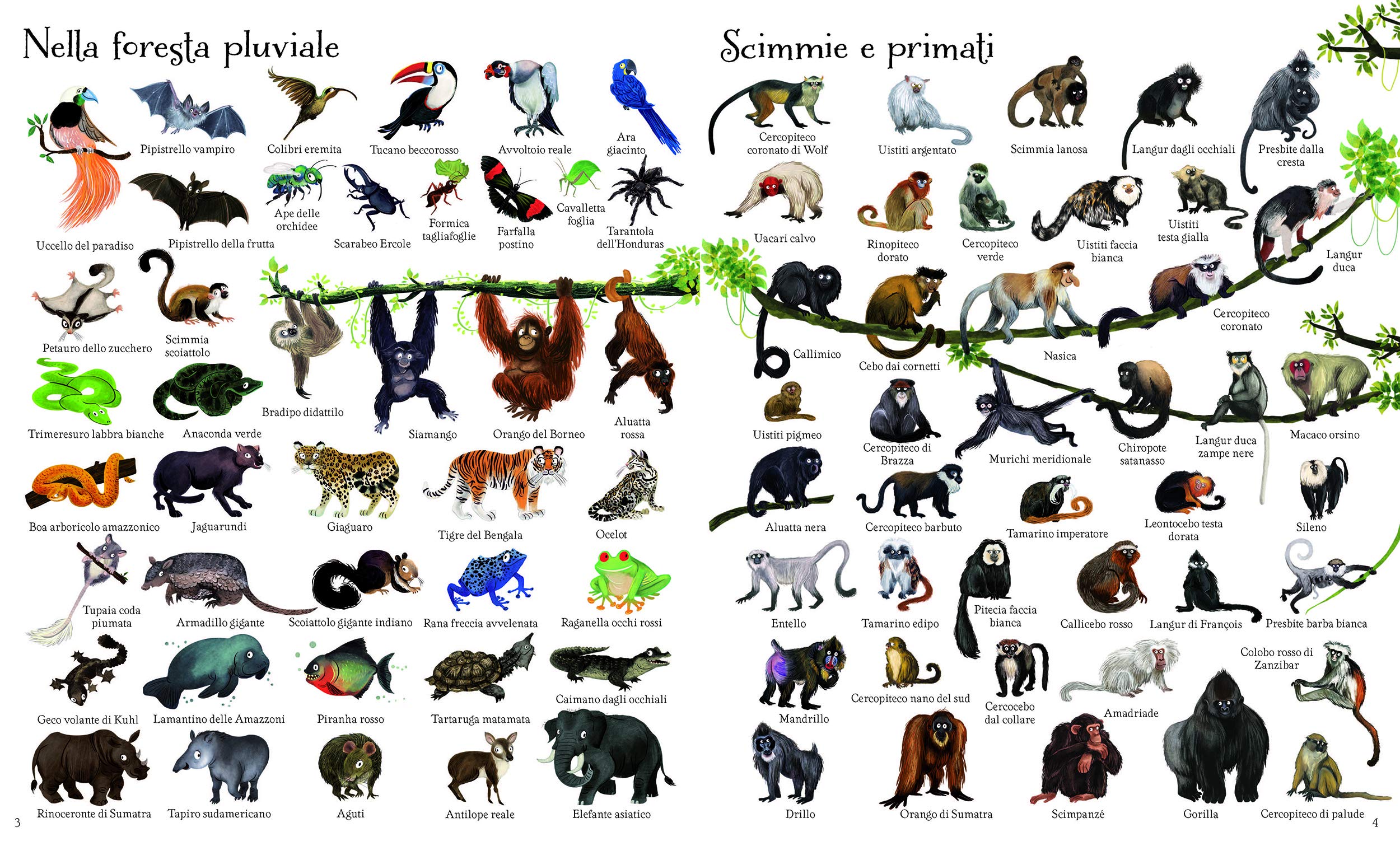1000 animali. Ediz. a colori