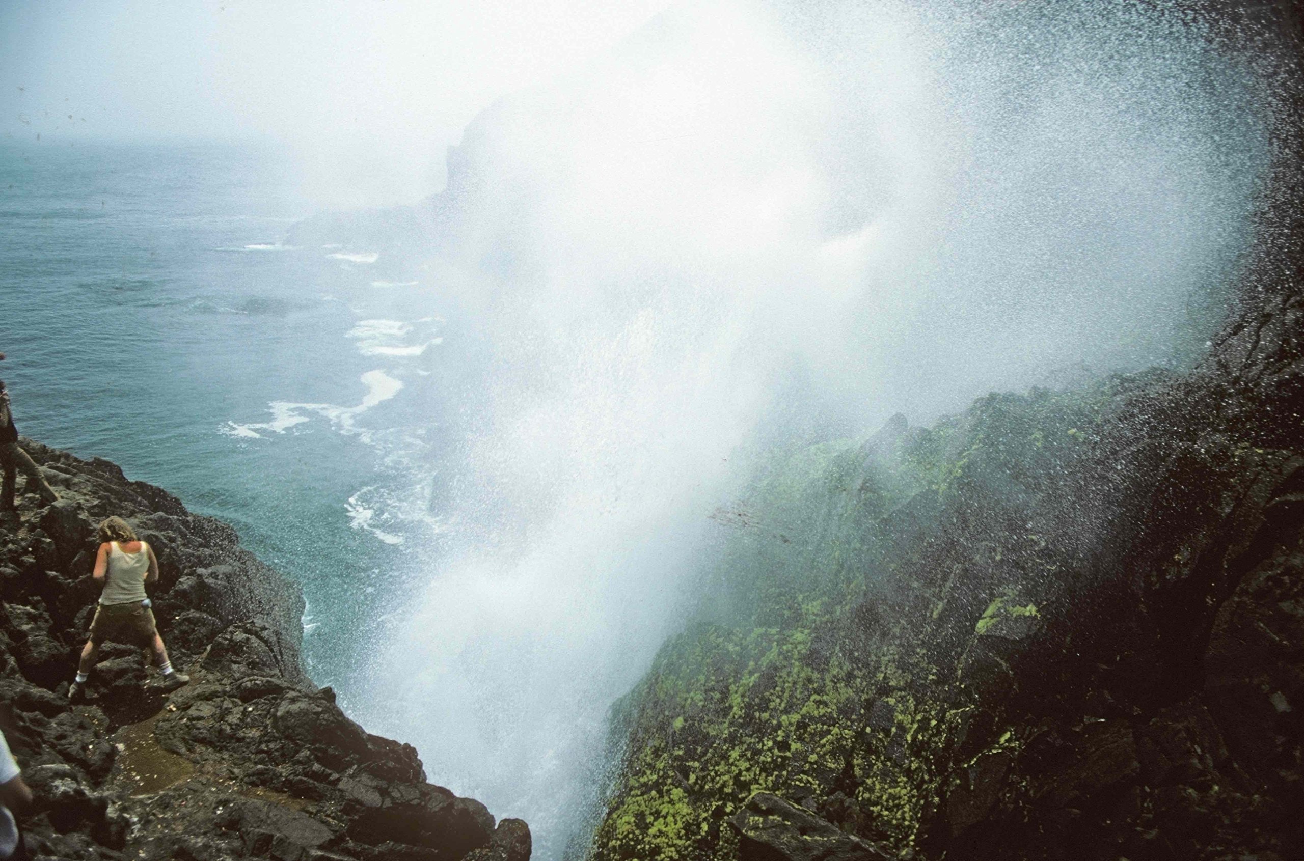 Roadside Geology and Biology of Baja California, 2nd Ed. - Image 3