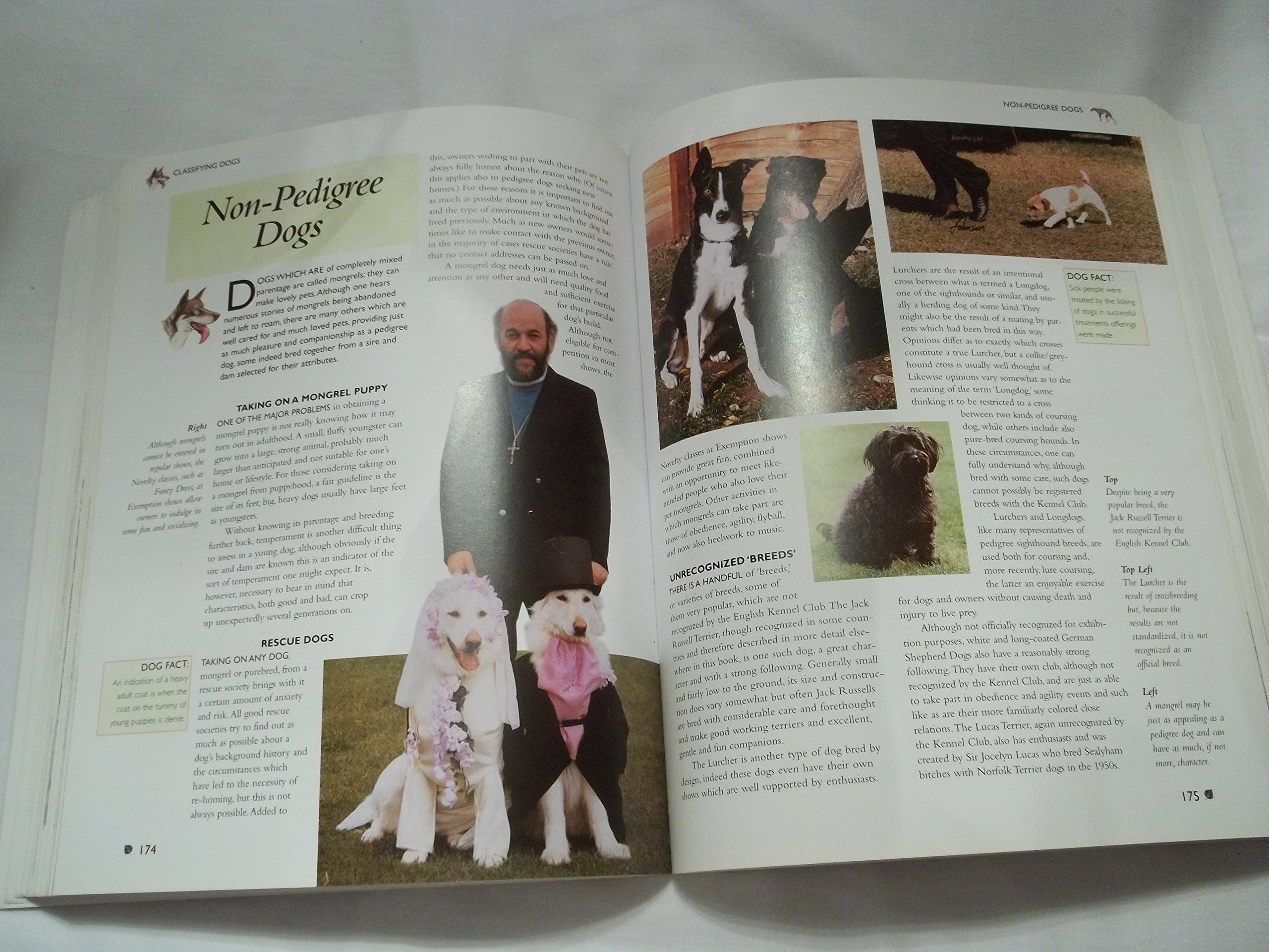 Buy The Encyclopedia of Dog Breeds — BookShops.in