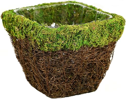 SuperMoss (55071 Ventura, verde fresco, pequeño)