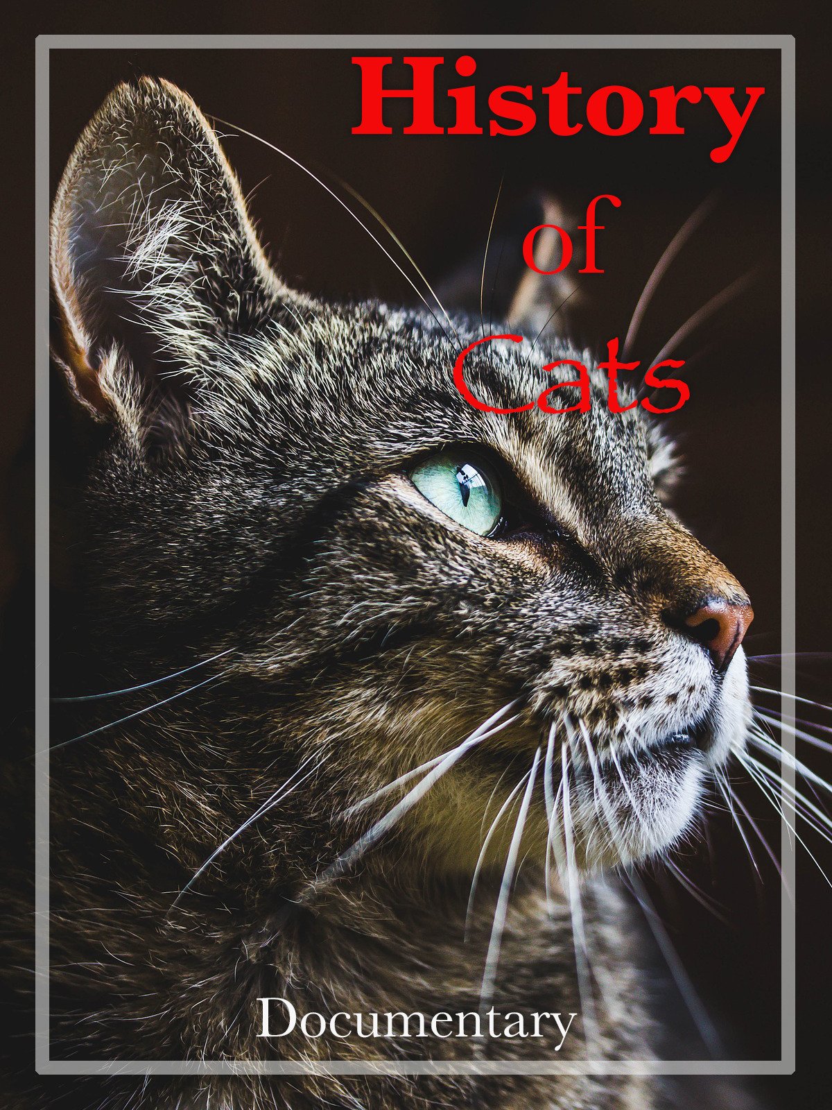 Watch History of Cats Documentary Prime Video