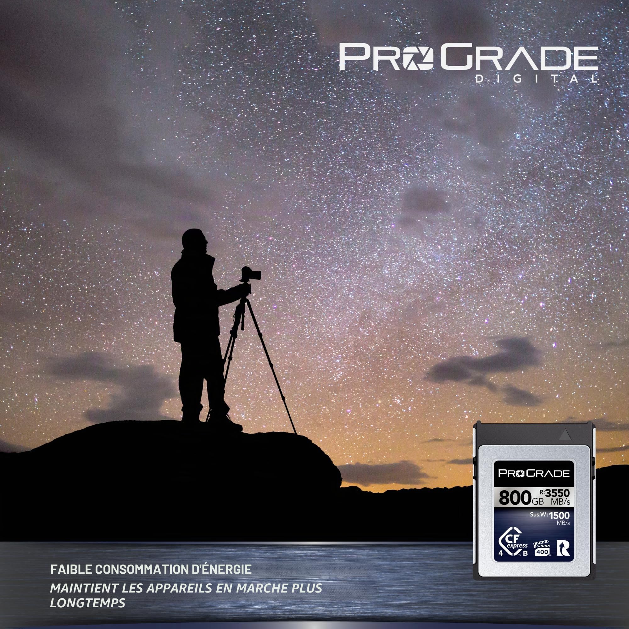 Carte Mémoire ProGrade CFexpress 4.0 Type B (800 Go) Iridium