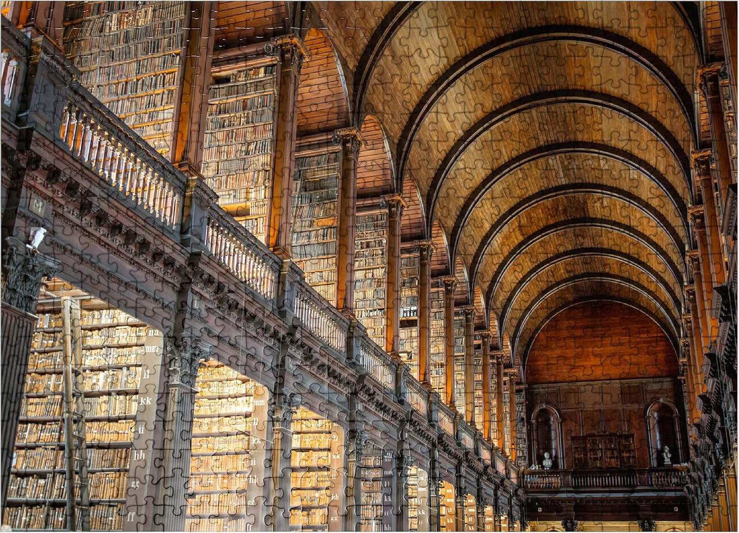 MyPuzzle Books in The Long Room Library, Trinity College Dublin Ireland - Premium 1000 Piece Jigsaw Puzzle for Adults