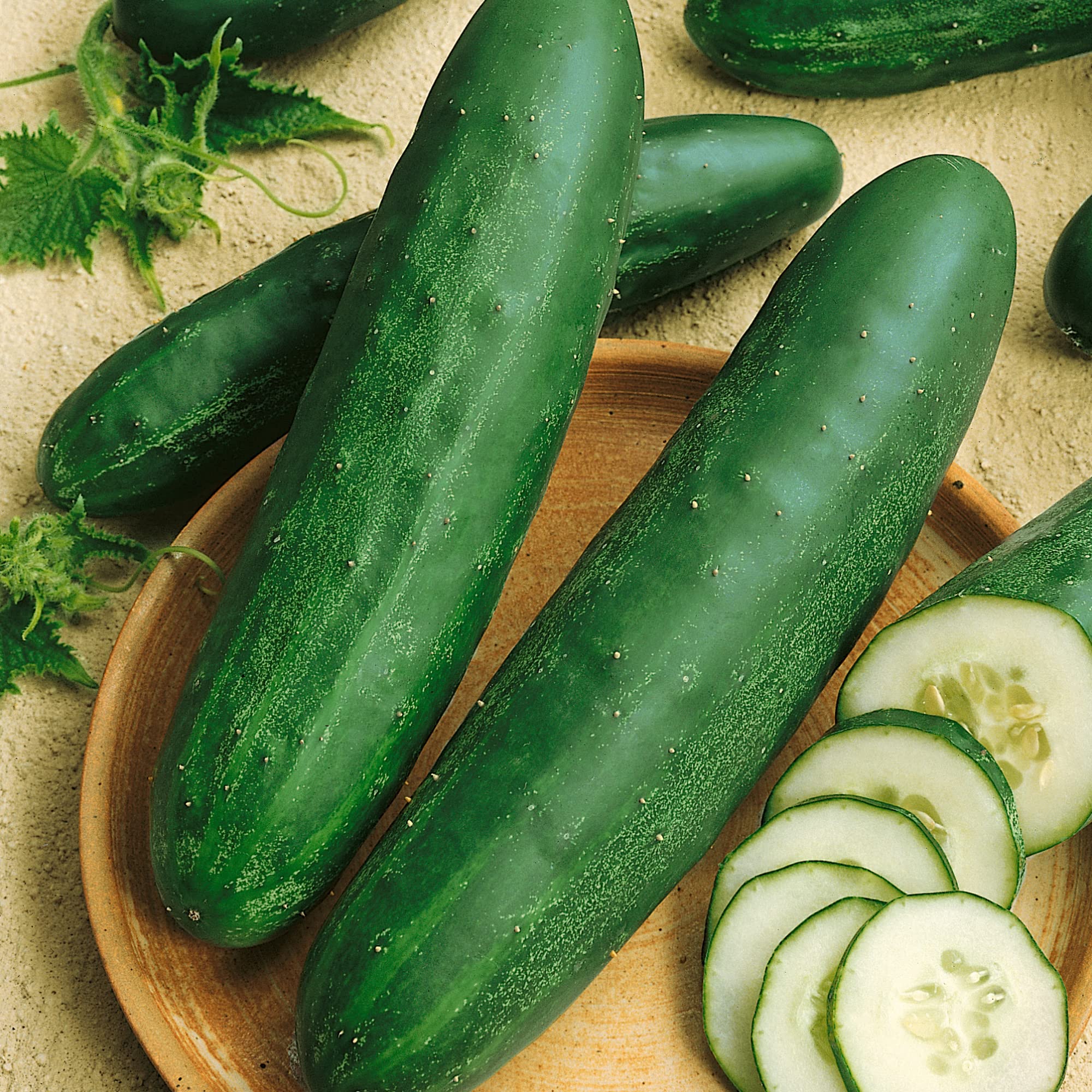 【cucumber】 Crystal White Pickle Hybrid Cucumber Seeds – NE SEED
