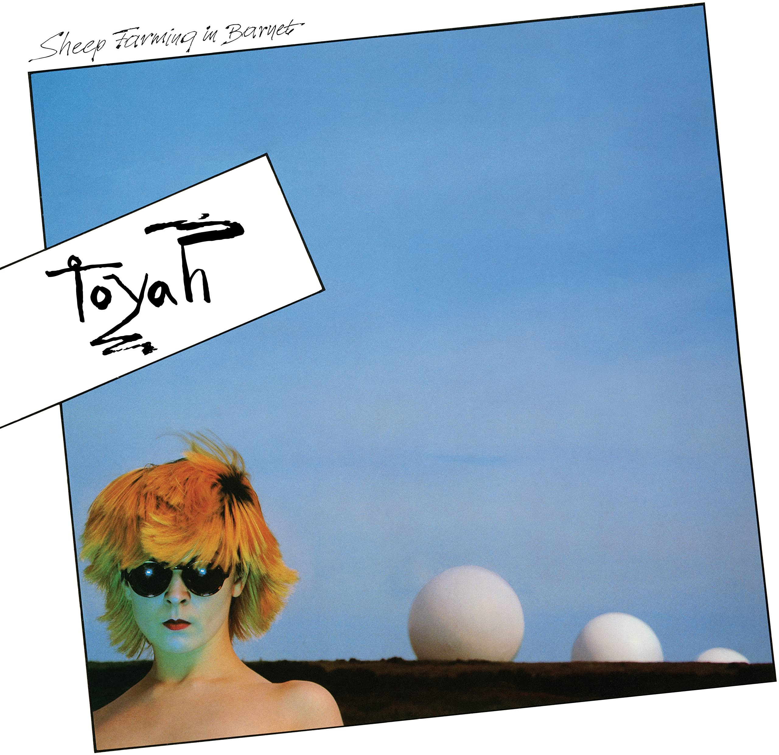 Sheep Farming In Barnet [VINYL]