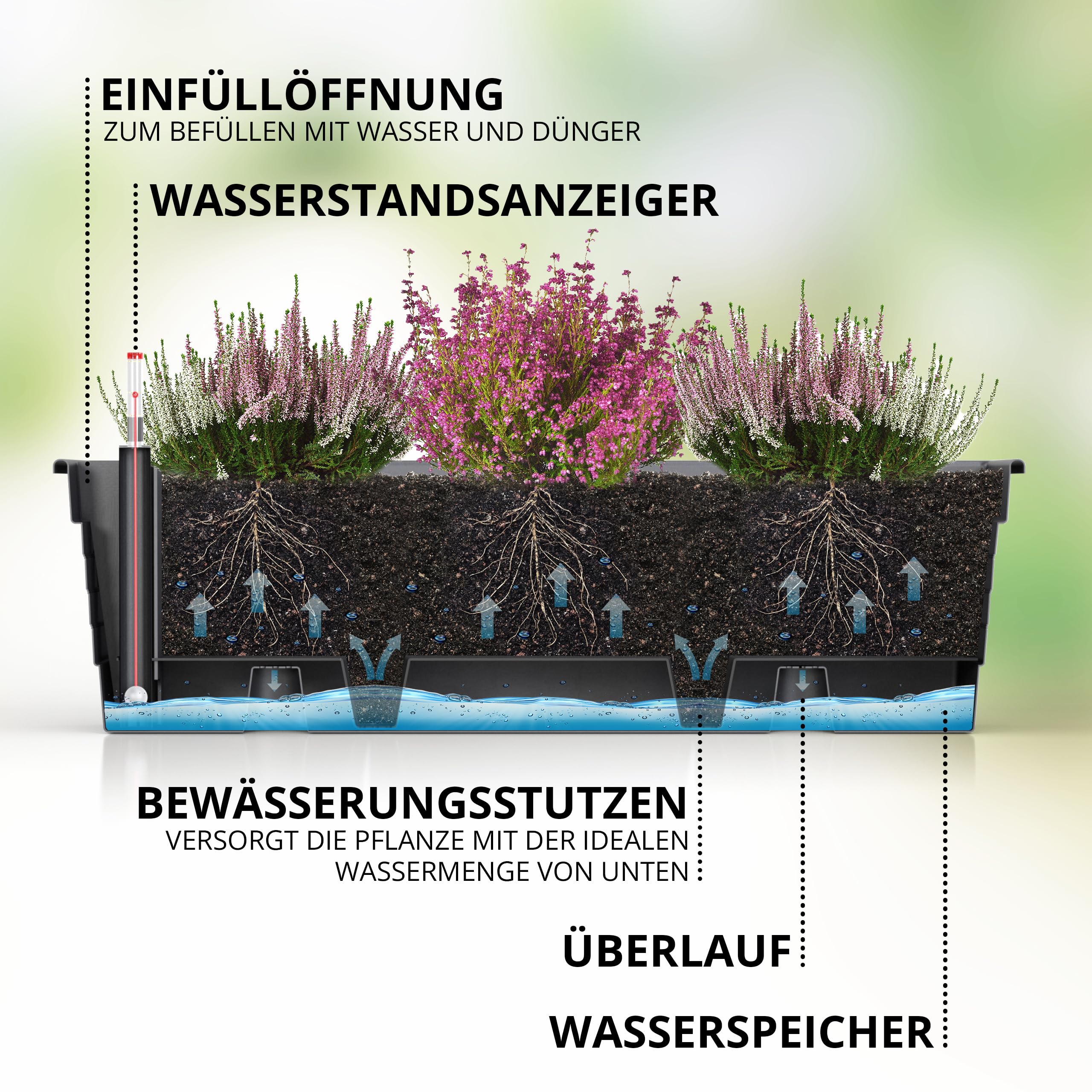 Plastard Blumenkasten Milano 100 cm lang Farbe Anthrazit mit Wasserspeicher und Wasserstandsanzeige Pflanzkasten für Balkon und Garten witterungsbeständig für Innen und Außen