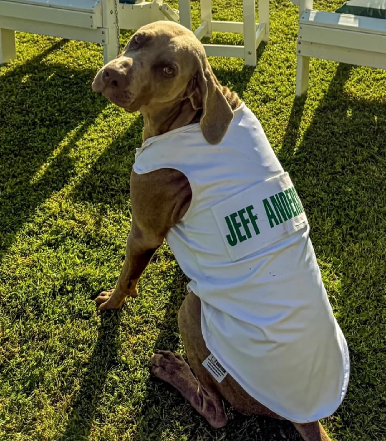 Golf Caddie Bib for Dogs (White) - Personalized Golf Caddy Bib