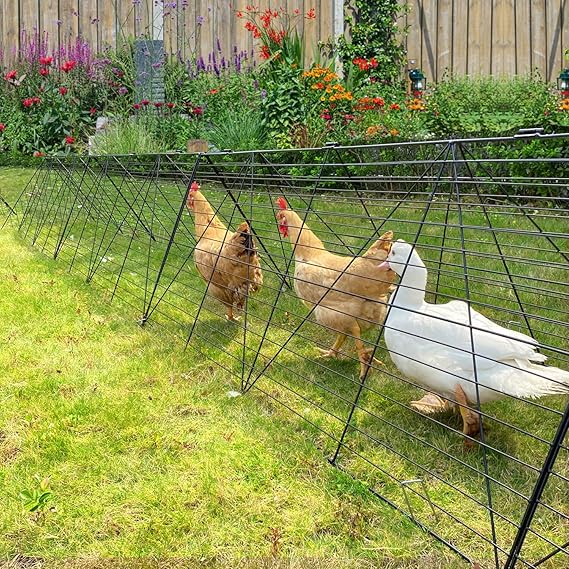 Chicken Tunnels for Yard, Chicken Tunnels for Outside
