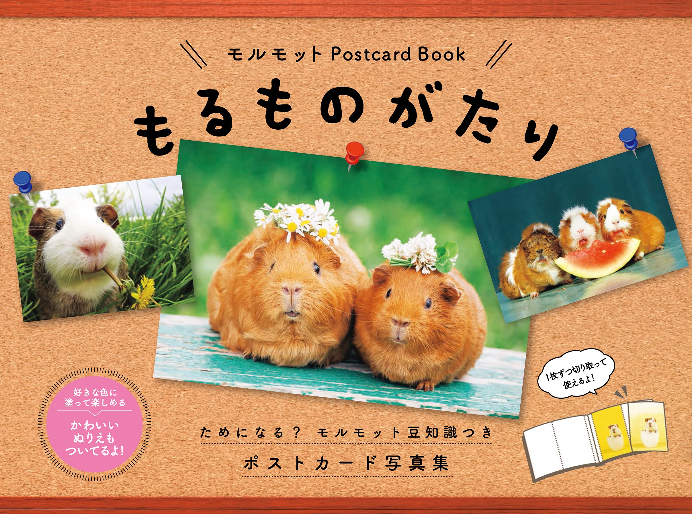 モルモット Postcard Book もるものがたり バラエティ もるものがたり編集部 本 通販 Amazon