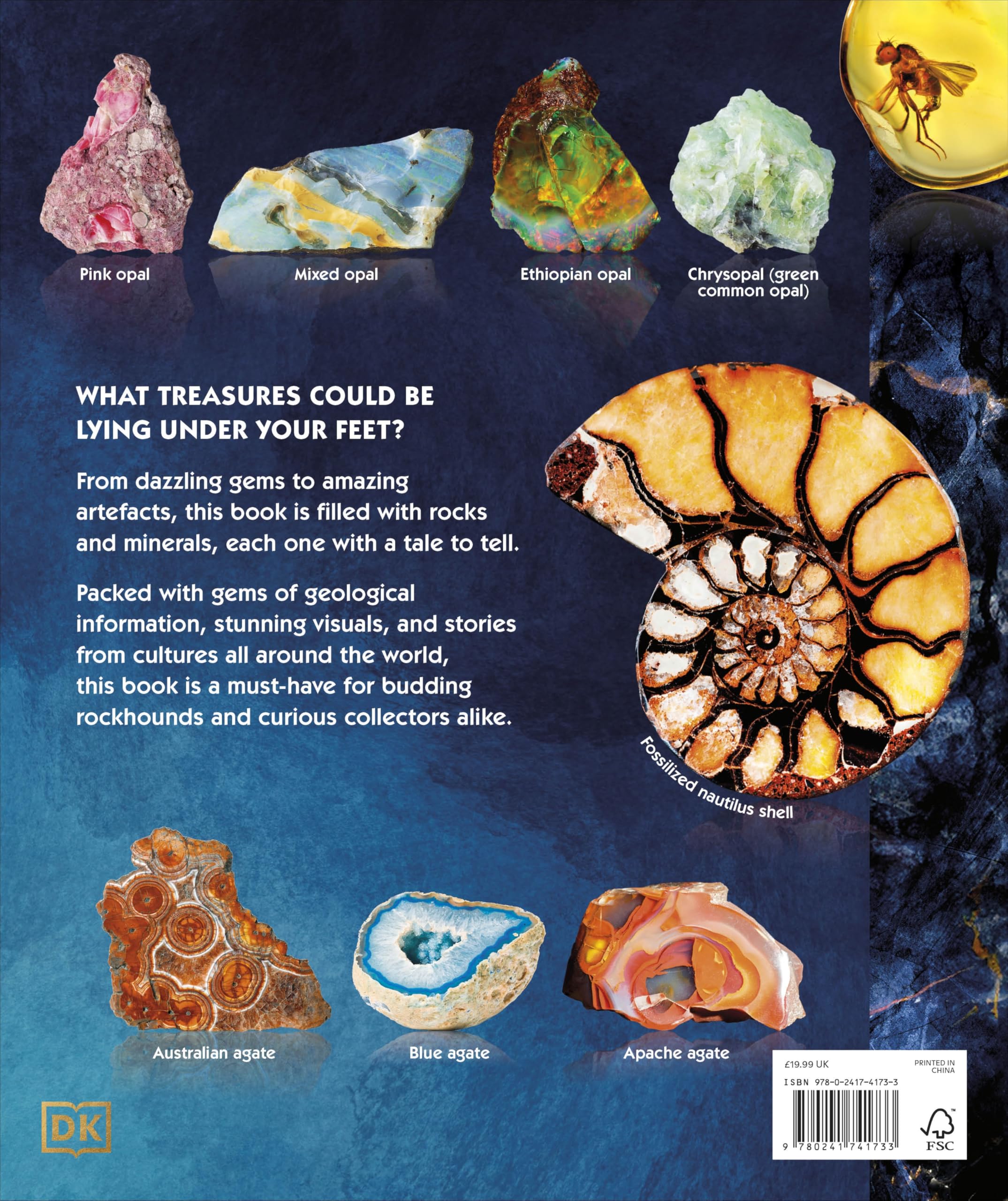 Treasures of the Earth: Rocks, Minerals, Crystals, and Gems