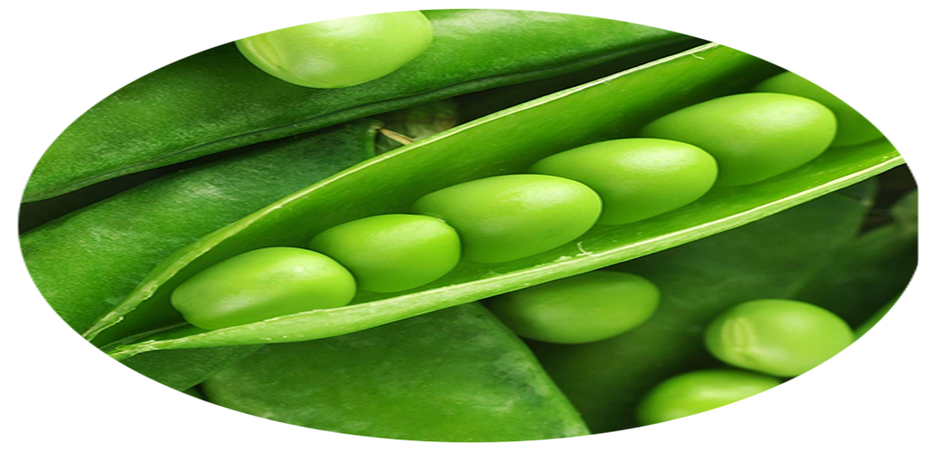 Benefits of Peas App on Amazon Appstore