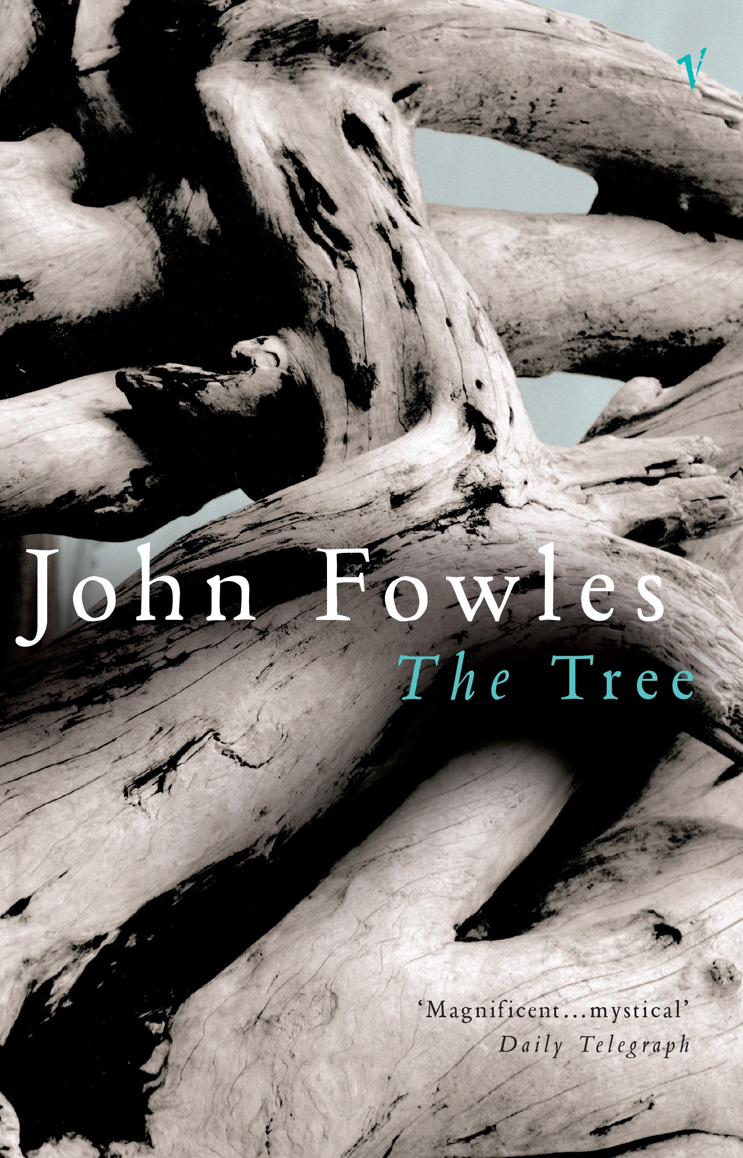 The Tree Paperback – 3 August 2000