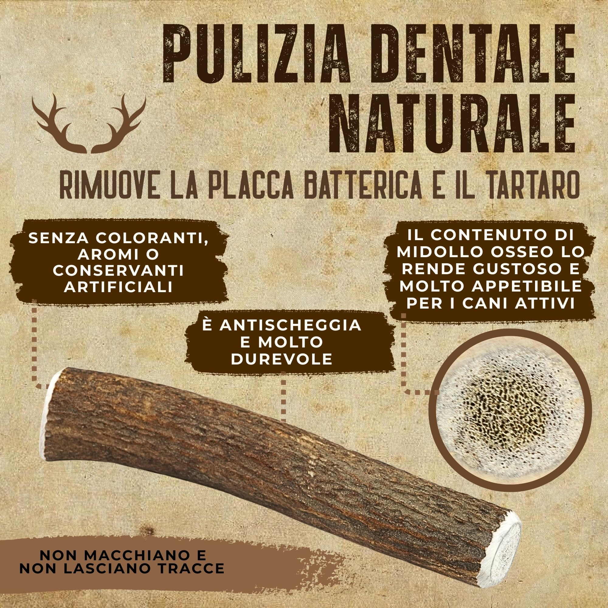 Corno di Cervo Naturale per Cani | Masticatore Dentale Duraturo | Origine Naturale, Senza Additivi | Kira&Gara® (M - 71-100g, Pack de 2)