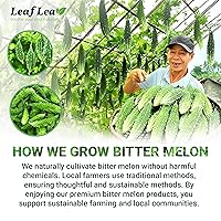 Vista 8 de LeafLea Bolsas de té de melón amargo natural, 40 bolsas de té de hierbas Cundeamor - Té de frutas Melon Amargo Gohyah Apoyo para el bienestar