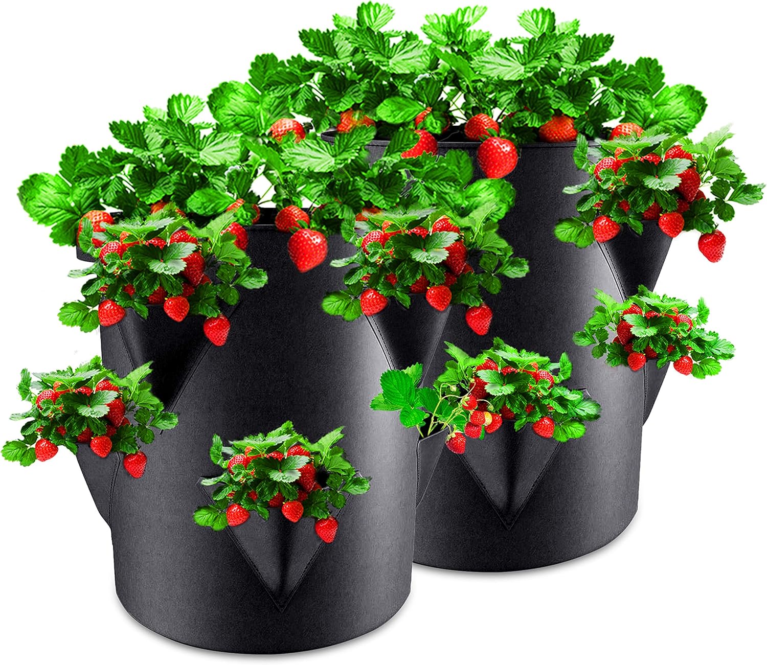 Rouffiel Strawberry Planting Bags, 2 Pack 10 Gallon