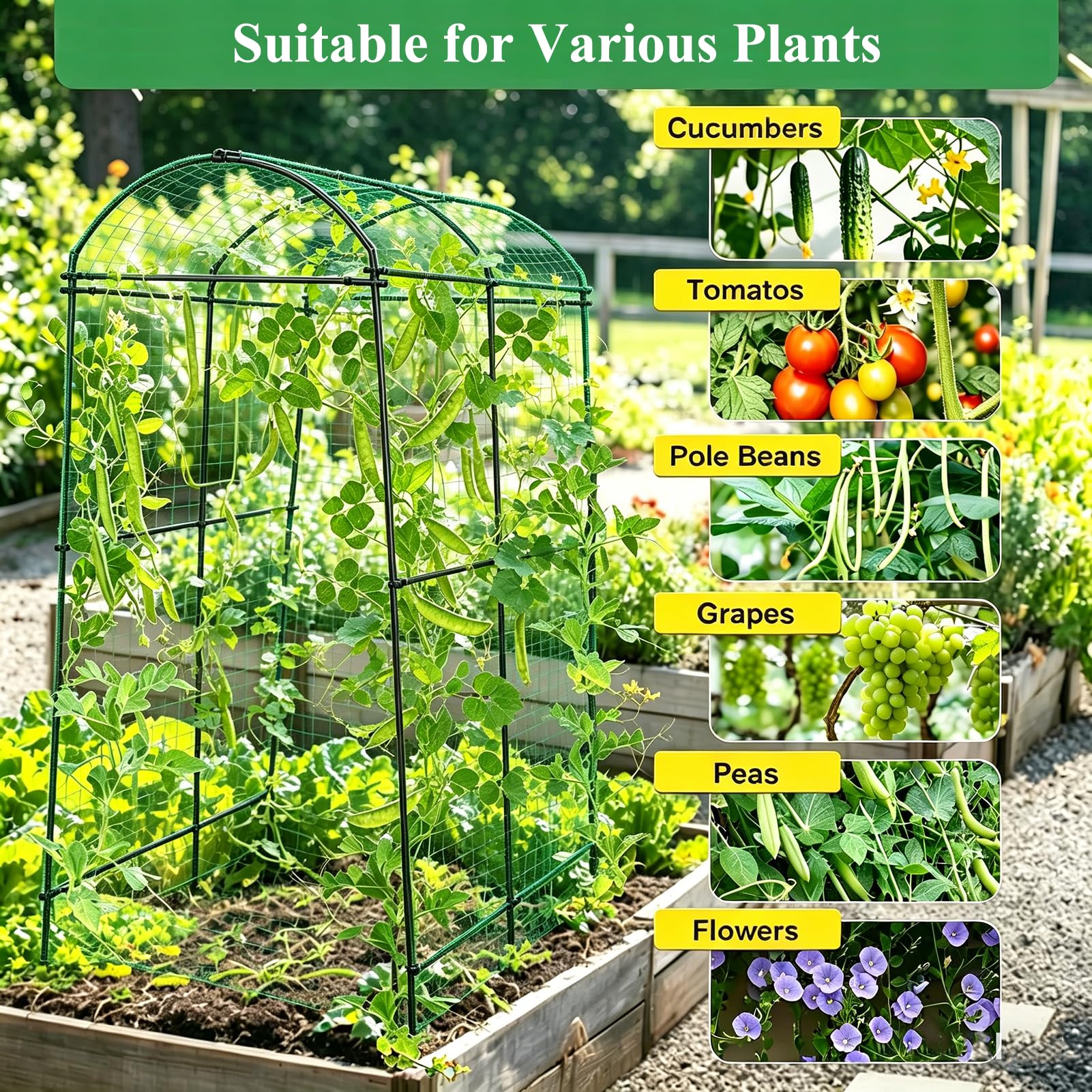 Gurken Rankhilfe 124x180x220cm, Stahlrohr Garten Rankgitter, mit Ranknetz & Klemmen, multifunktionale Pflanzenstütze für Kletterpflanzen, Tomaten, Gemüse, Blumen, Outdoor Garten Rankstütze (Schwarz)