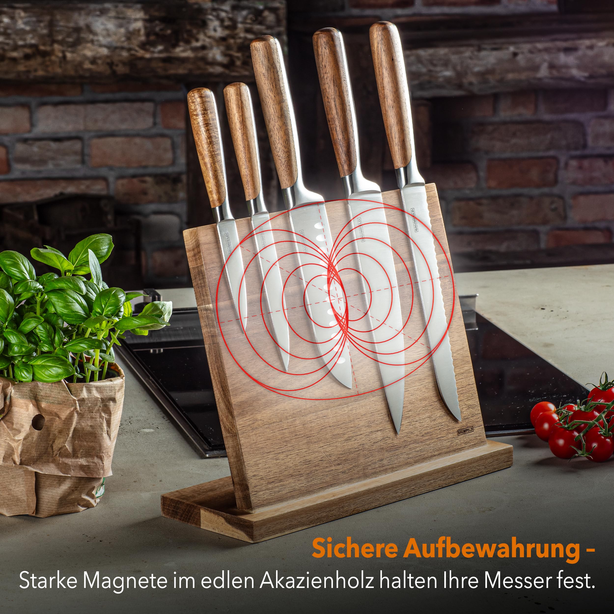 Bundle: 6-teiliges Messerblock-Set und 2-teiliges Tranchierbesteck (Silber)