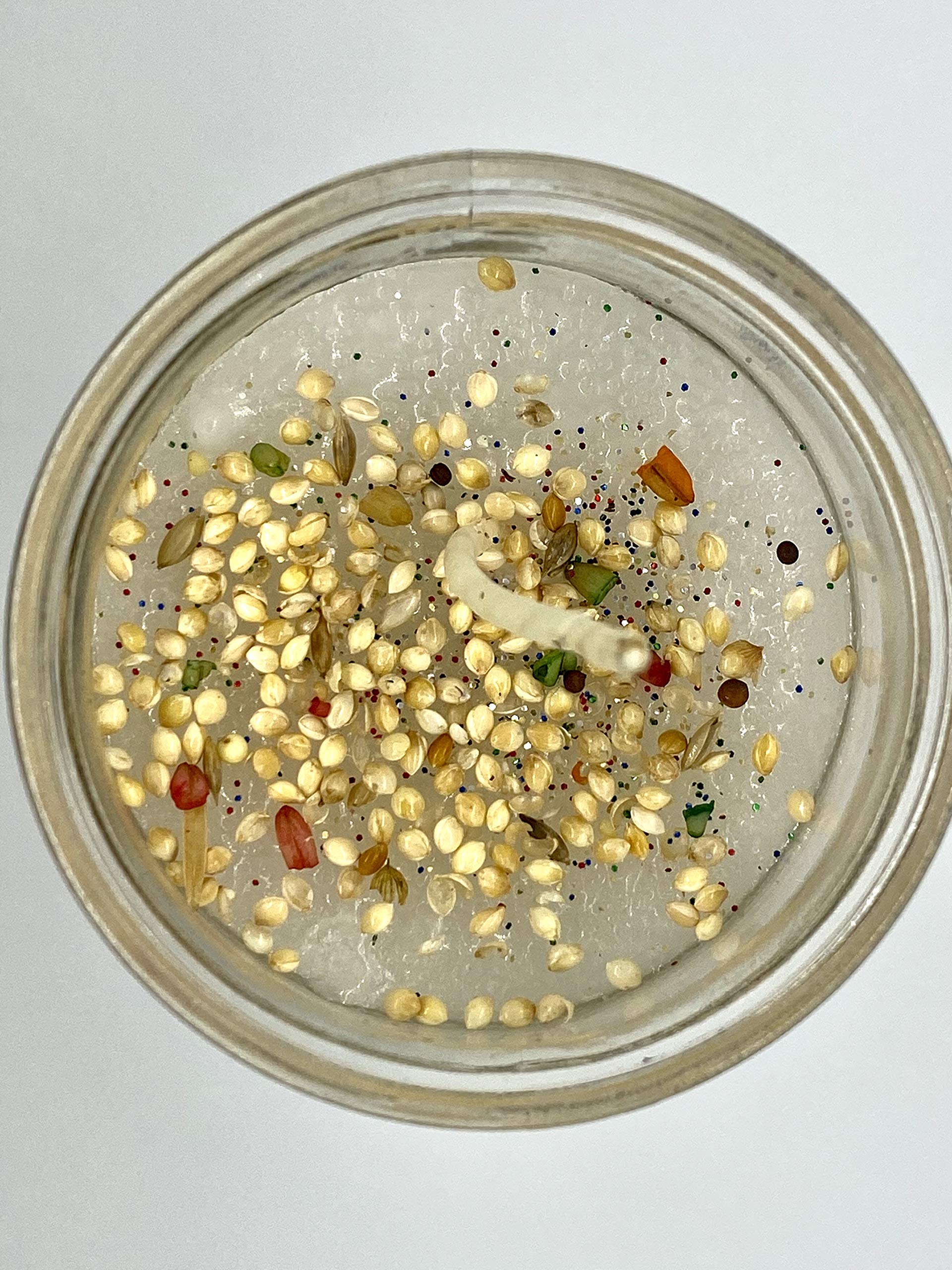 Salud y Sanacion 7-Day Glass Candle - White, Modern, Religious Theme