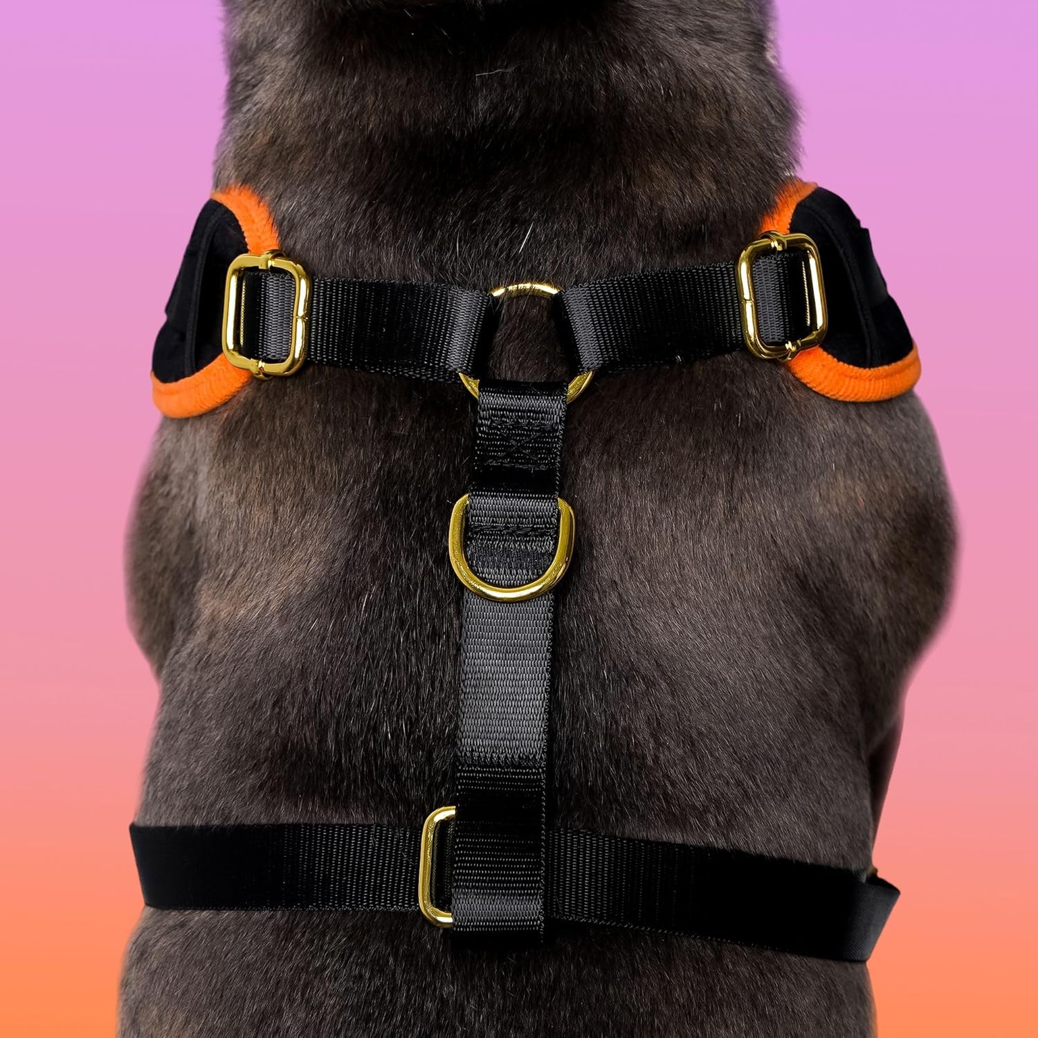 No Pull Printed Dog Vest Harness for Small&Medium Dogs, Side Clip Adjustable Pet Vest, Soft Breathable, Fashion Dog Harnesses for Walking, Running, Shopping(Black, S)