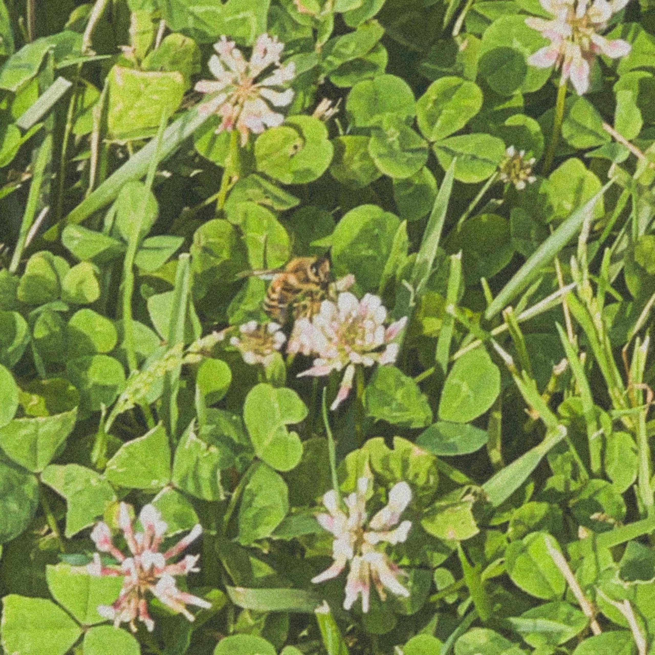 Love All the Hurt Away