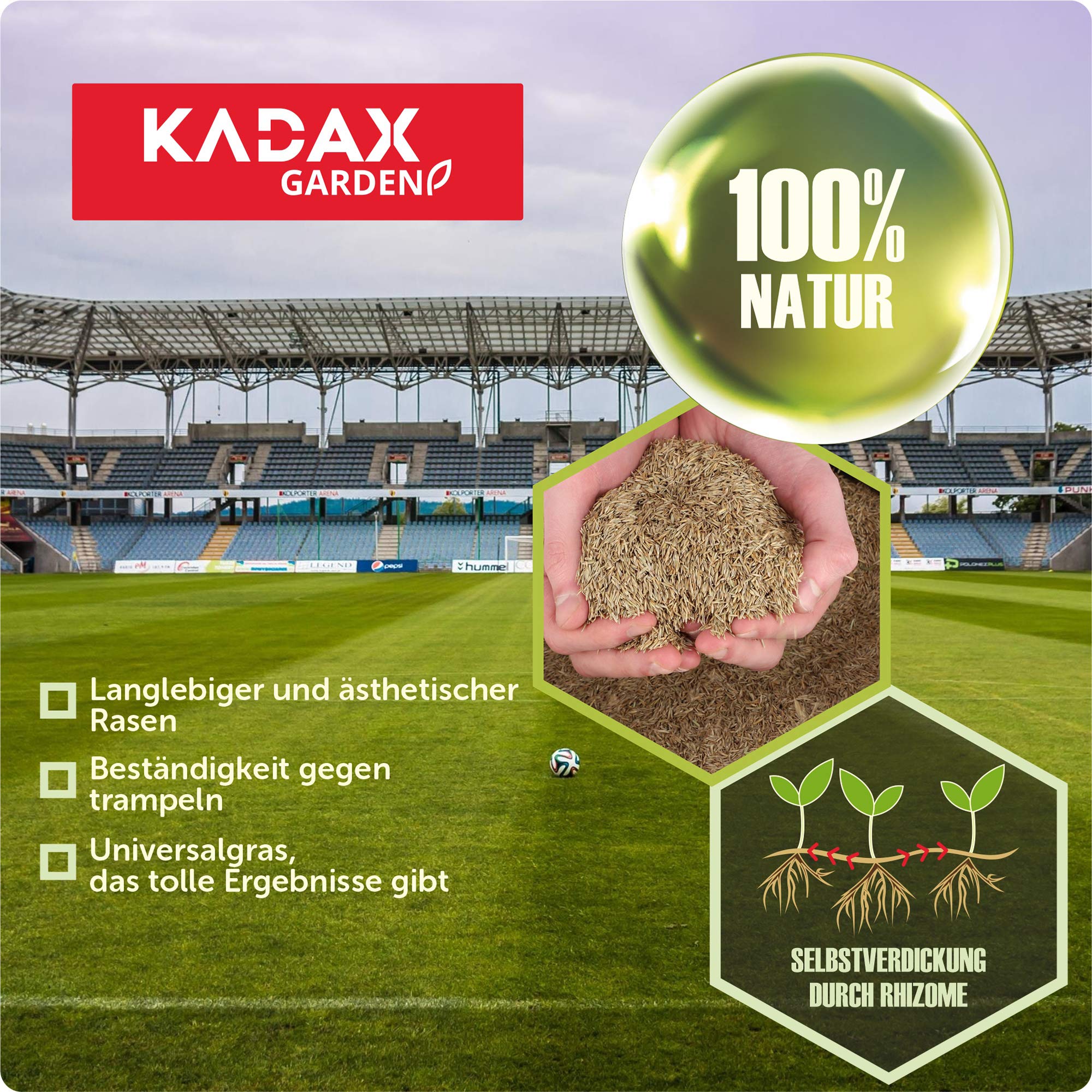KADAX Sportrasen, 400 m², Spielrasen, Saatgutmischung, Rasensamen, Grassamen, Rasensaat, Rasenmischung, wirksames Saatgut, Gras, Rasensaatmischung (10 kg)