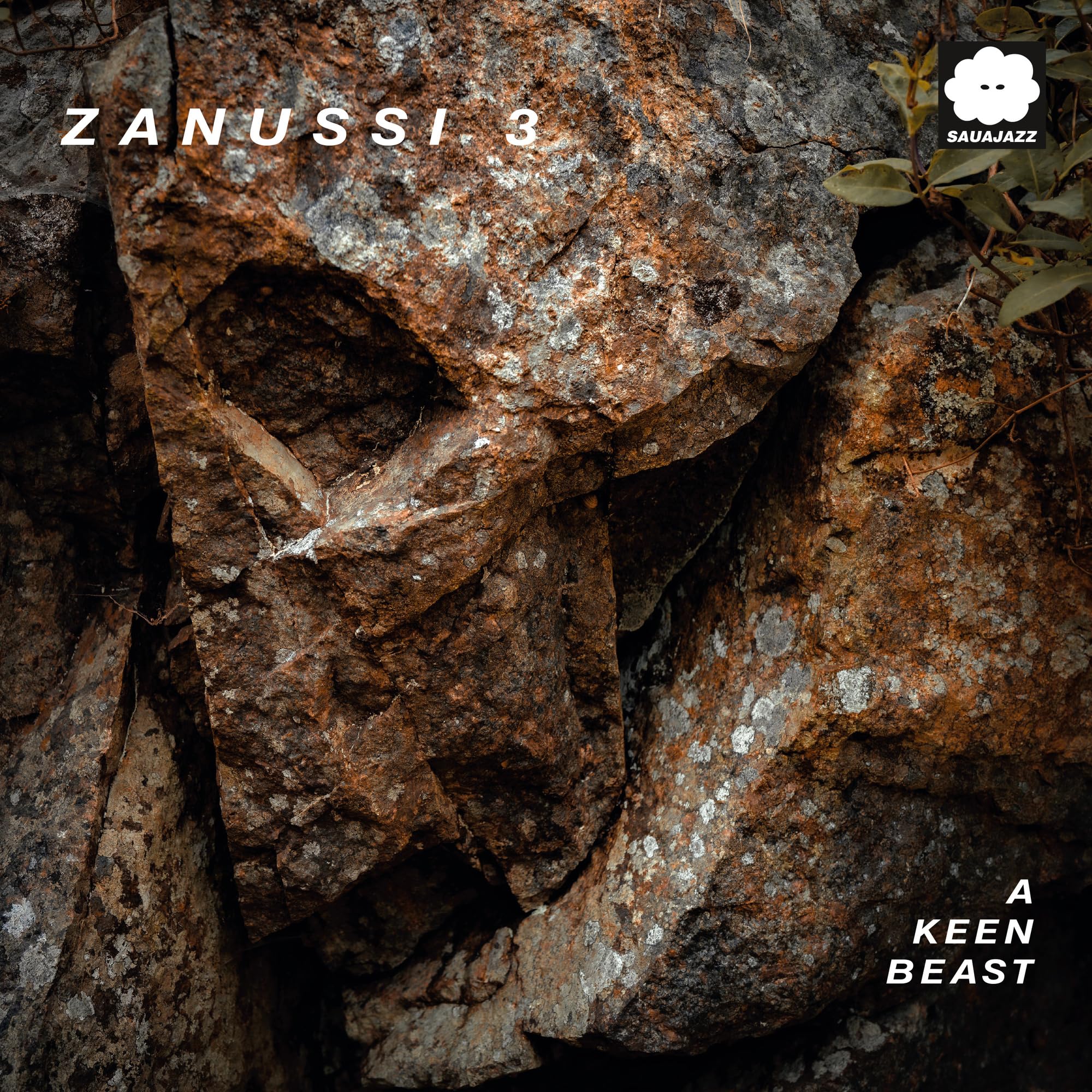 ZANUSSSI 3 - A Keen Beast - Vinyl (LP)