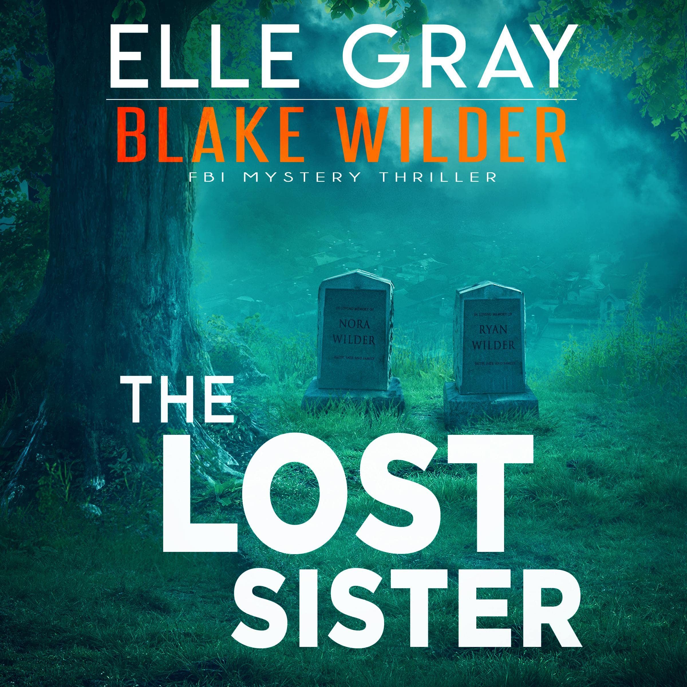 Cover art for The Lost Sister