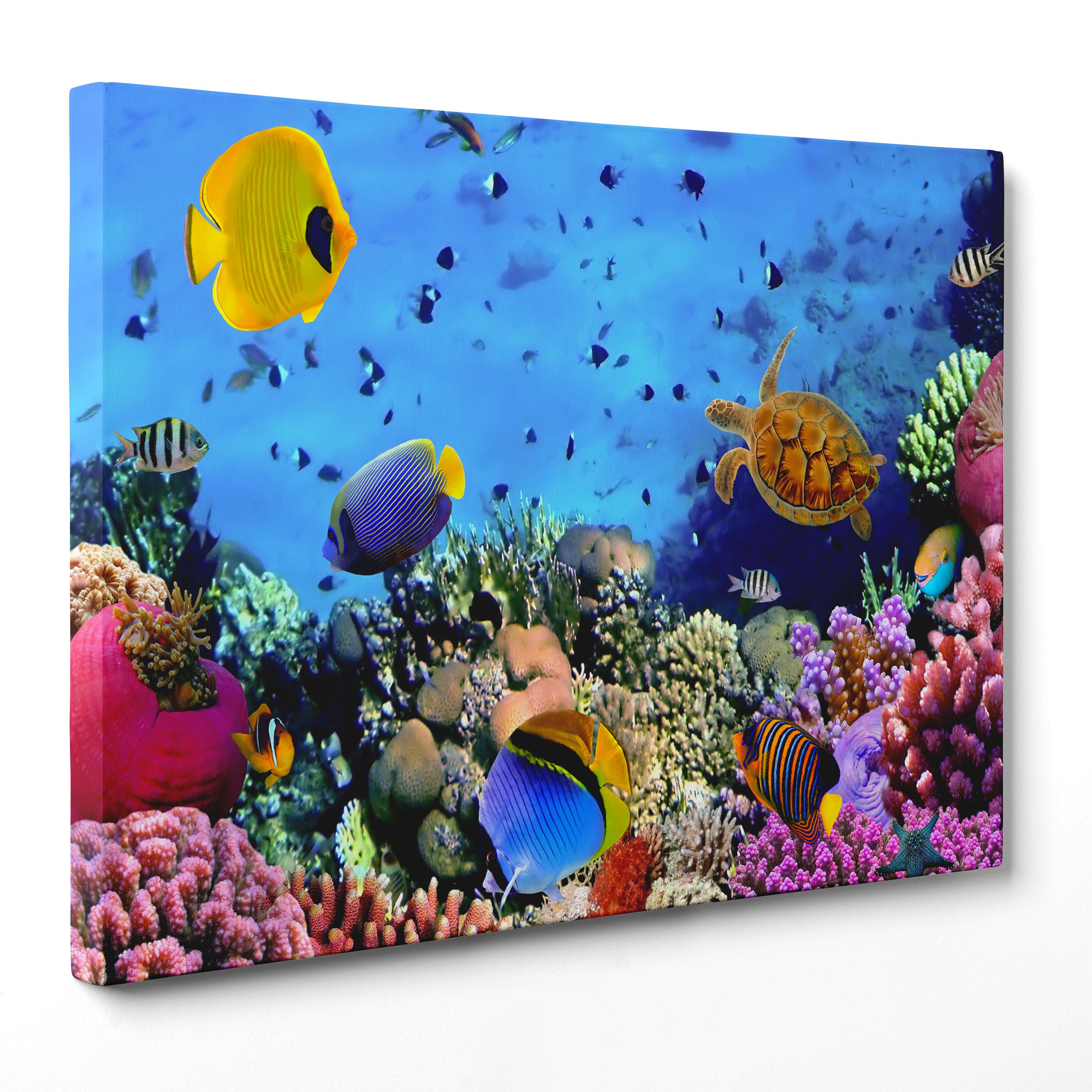 Tableau sur toile fond marin et coraux encadré | Déco océan 50x70 cm