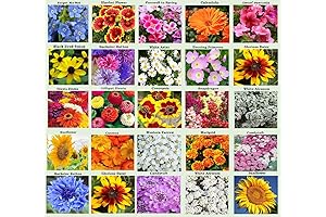 Bulk Flower Seeds Packets for Your Majestic Garden