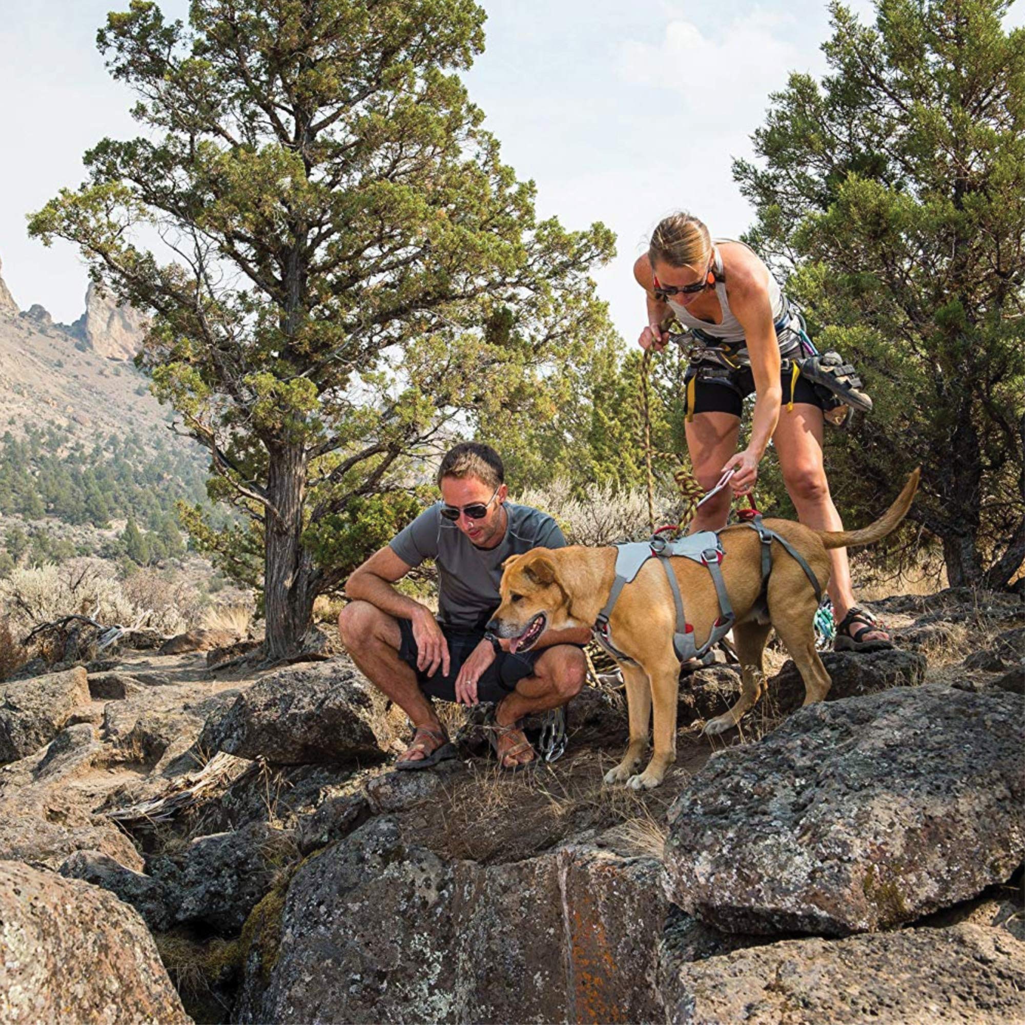 Ruffwear Imbracatura da Arrampicata per Cani, Razze da Grandi a Molto Grandi, vestibilità Regolabile, Taglia: L/XL, Grigio Cloudburst, Imbracatura Doppia