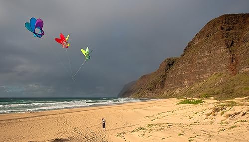 Miniatura 6 de Prisma EO Atom Box Kite