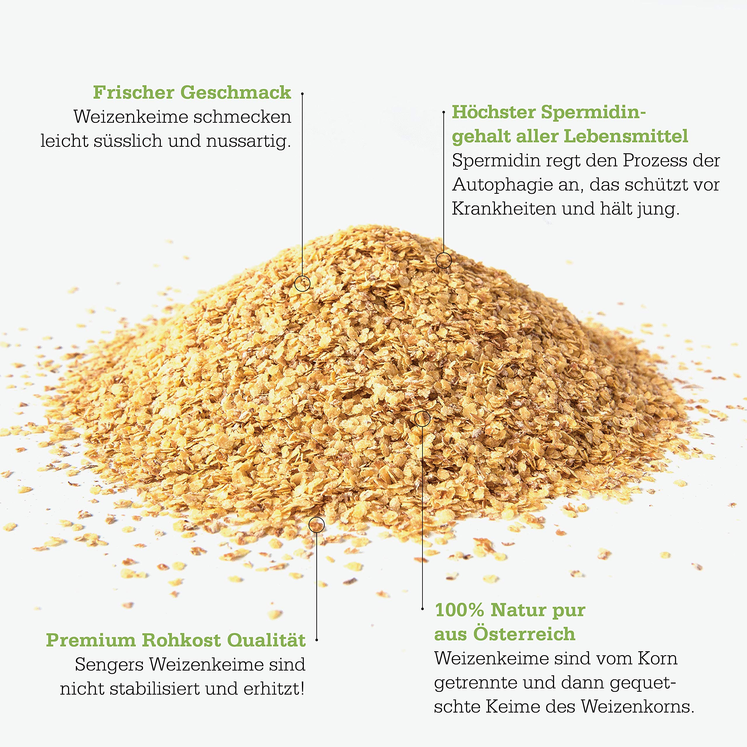 Senger's 5 kg Weizenkeime frisch, roh, vegan, proteinreich Natur aus Österreich Superfood (5 KG)