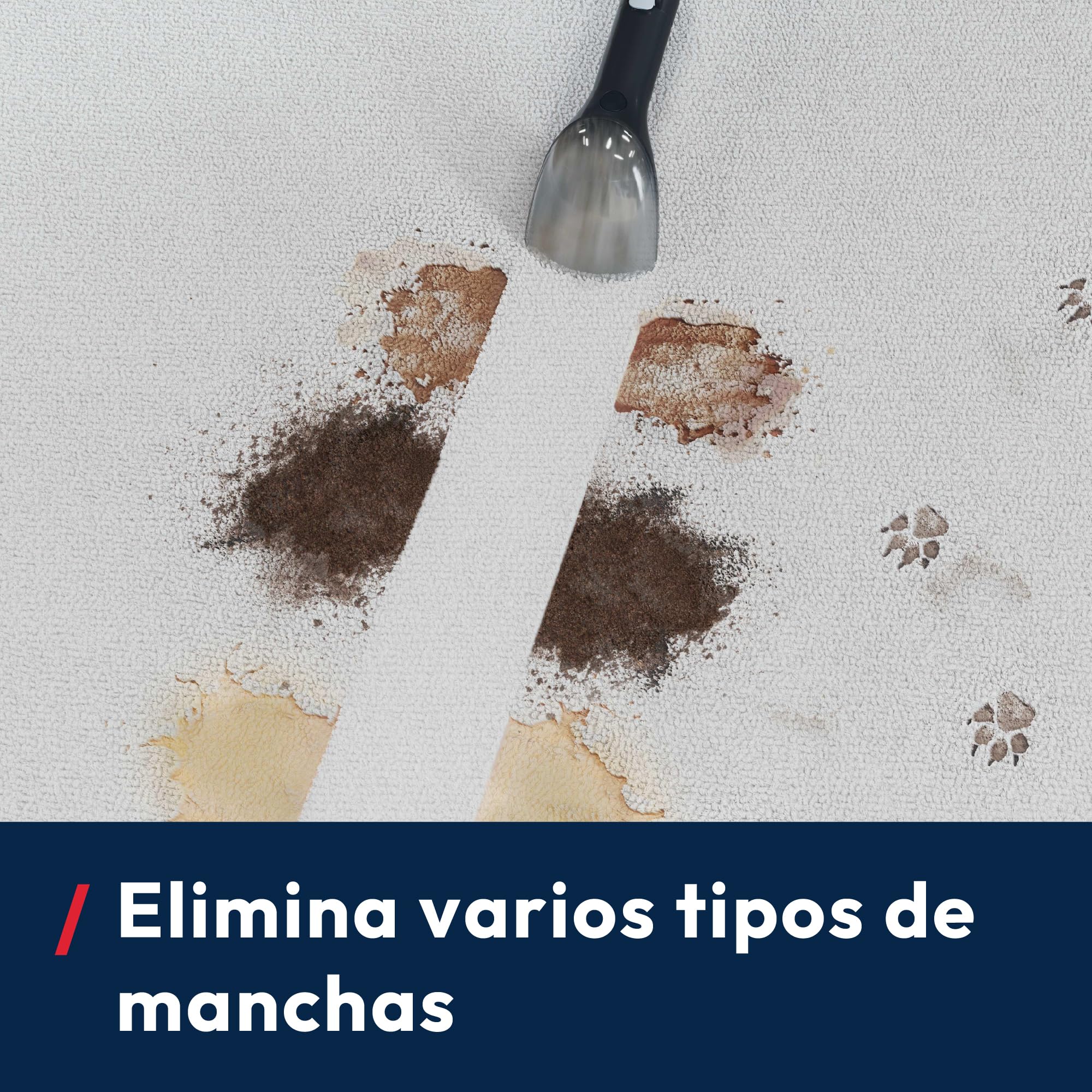 Hoover HS5 Limpiador de Manchas para Alfombras, Sofás y Cristales | Lava y Seca Tapizados, Compacta, Depósito 1,5L, Accesorio Ventanas, Ideal Manchas de Mascotas y Niños