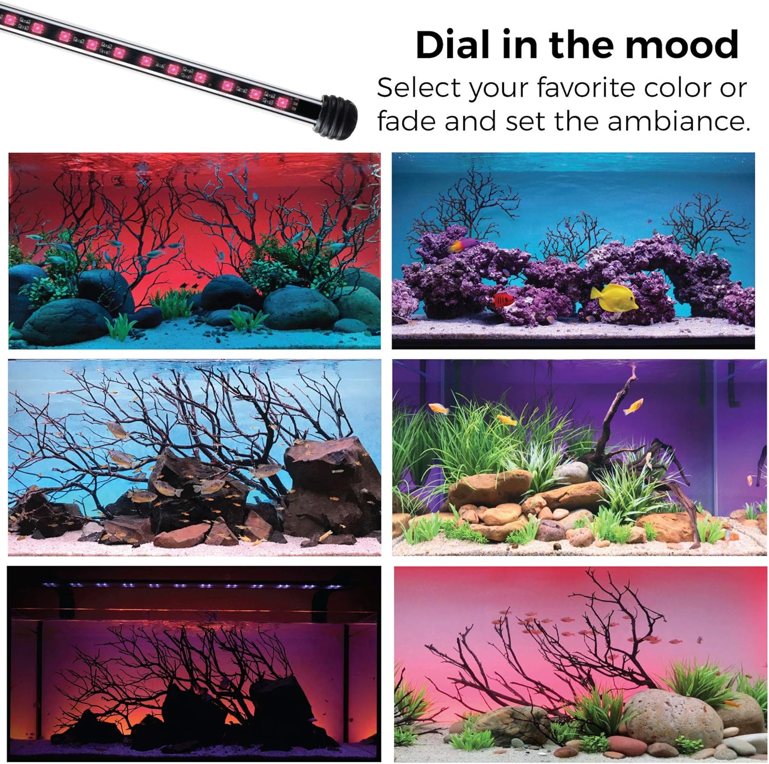CURRENT USA 36" Serene Aquarium LED Background Light Kit | Fish Tank Lighting Backdrop Decoration Black 3D 29, 30, 40, 50, 55, 65 Gallon Tank (3152)