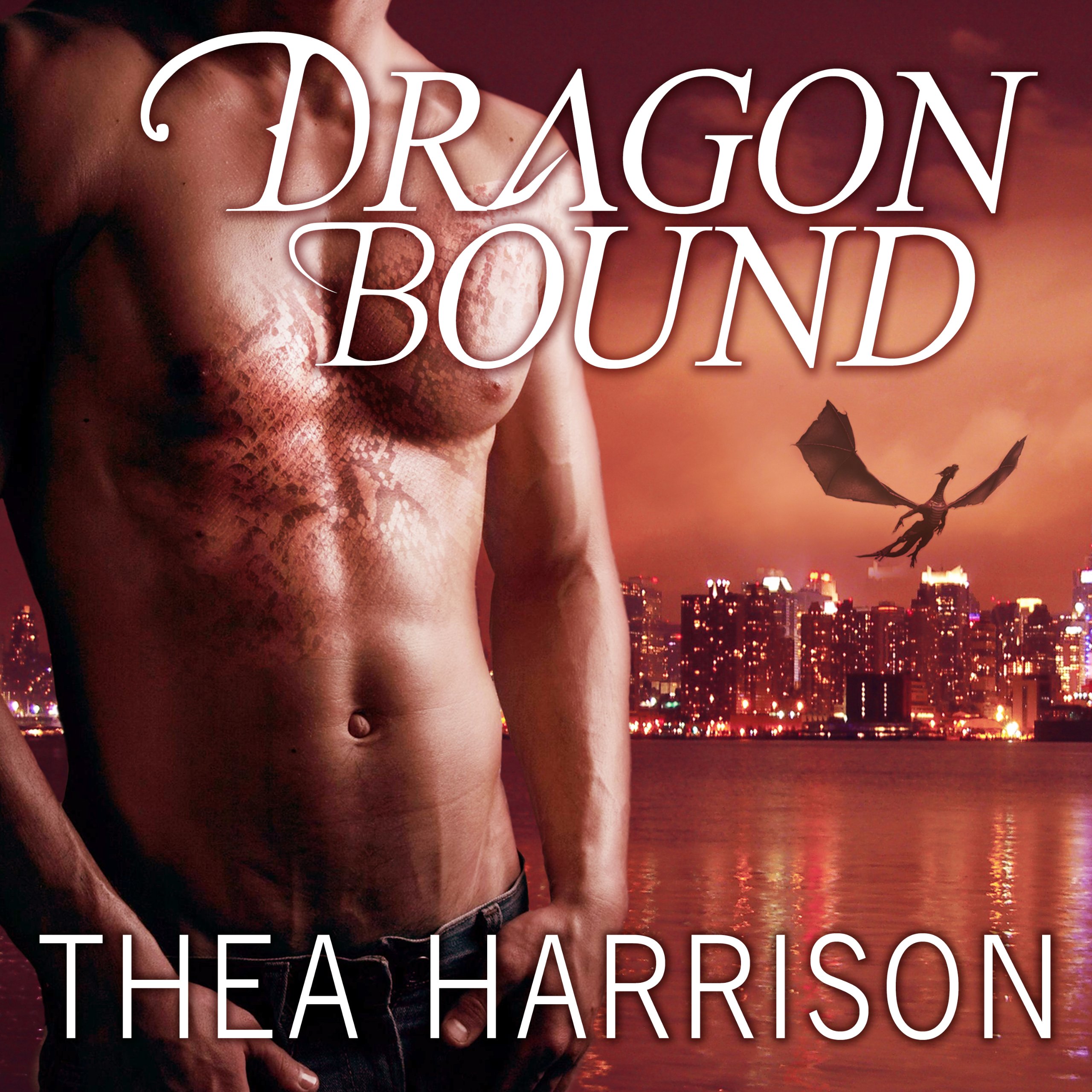 Cover art for Dragon Bound
