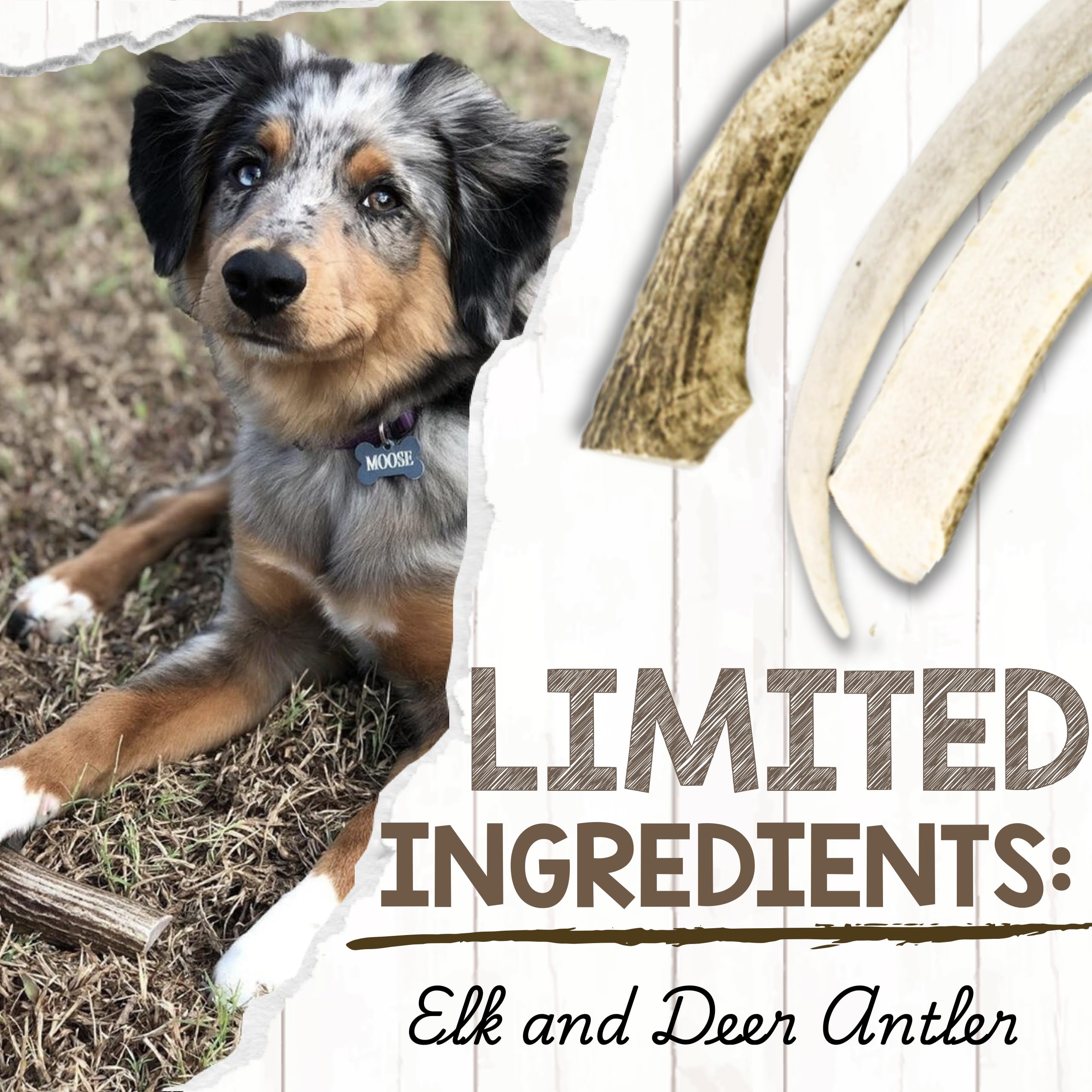 Nature Gnaws Geweih für Hunde – Premium Natürliches Hirsch- und Elchgeweih – Langlebige Hundekauspielzeuge für Aggressive Kauer – Mix aus Split und Ganzem