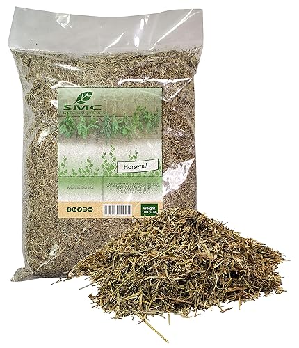 Hierba de cola de caballo a granel bolsa de 1 libra cortada y tamizada para té - Shavegrass-Snake Grass aka Living Fossil