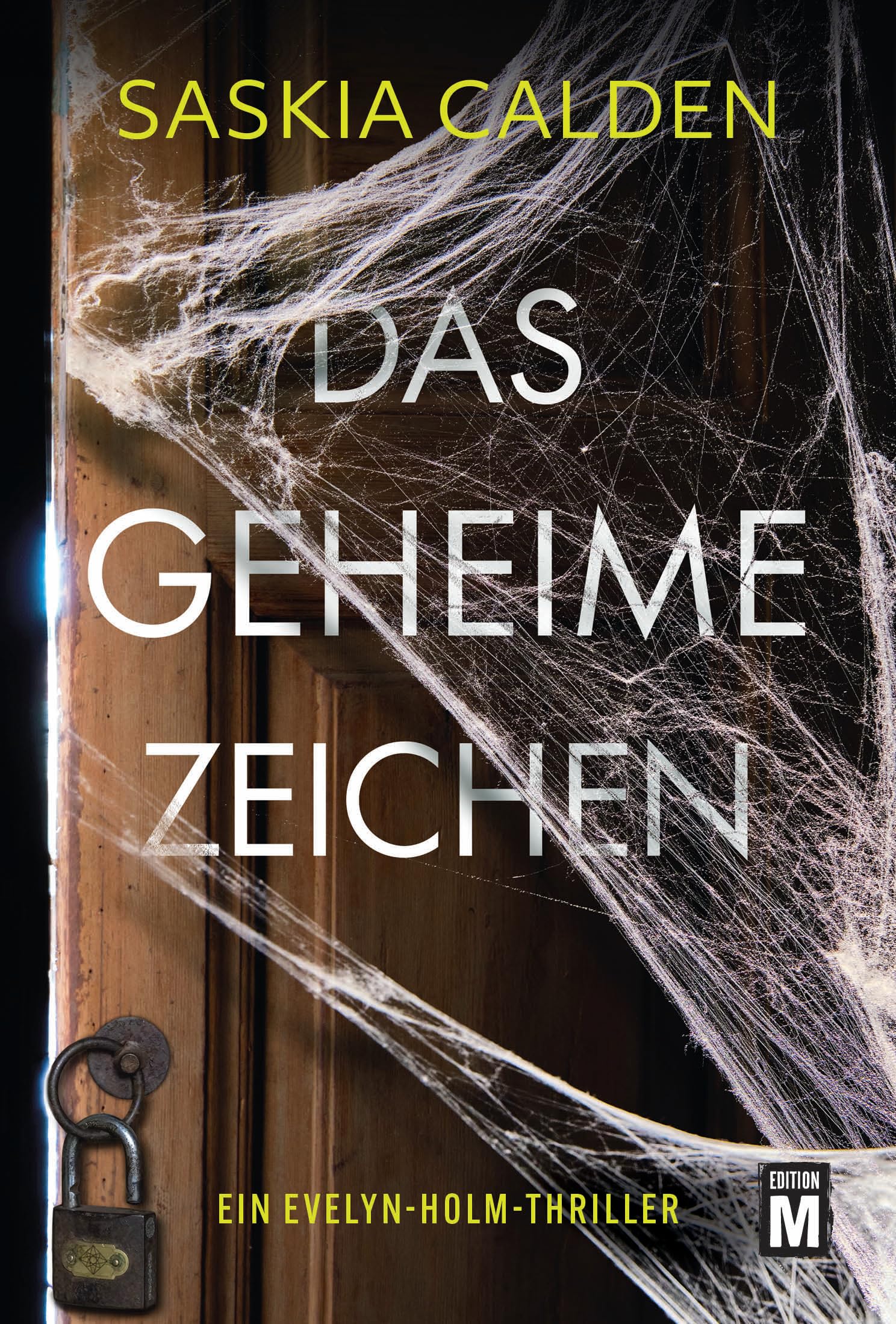 Das geheime Zeichen: 3 (Ein Evelyn-Holm-Thriller)