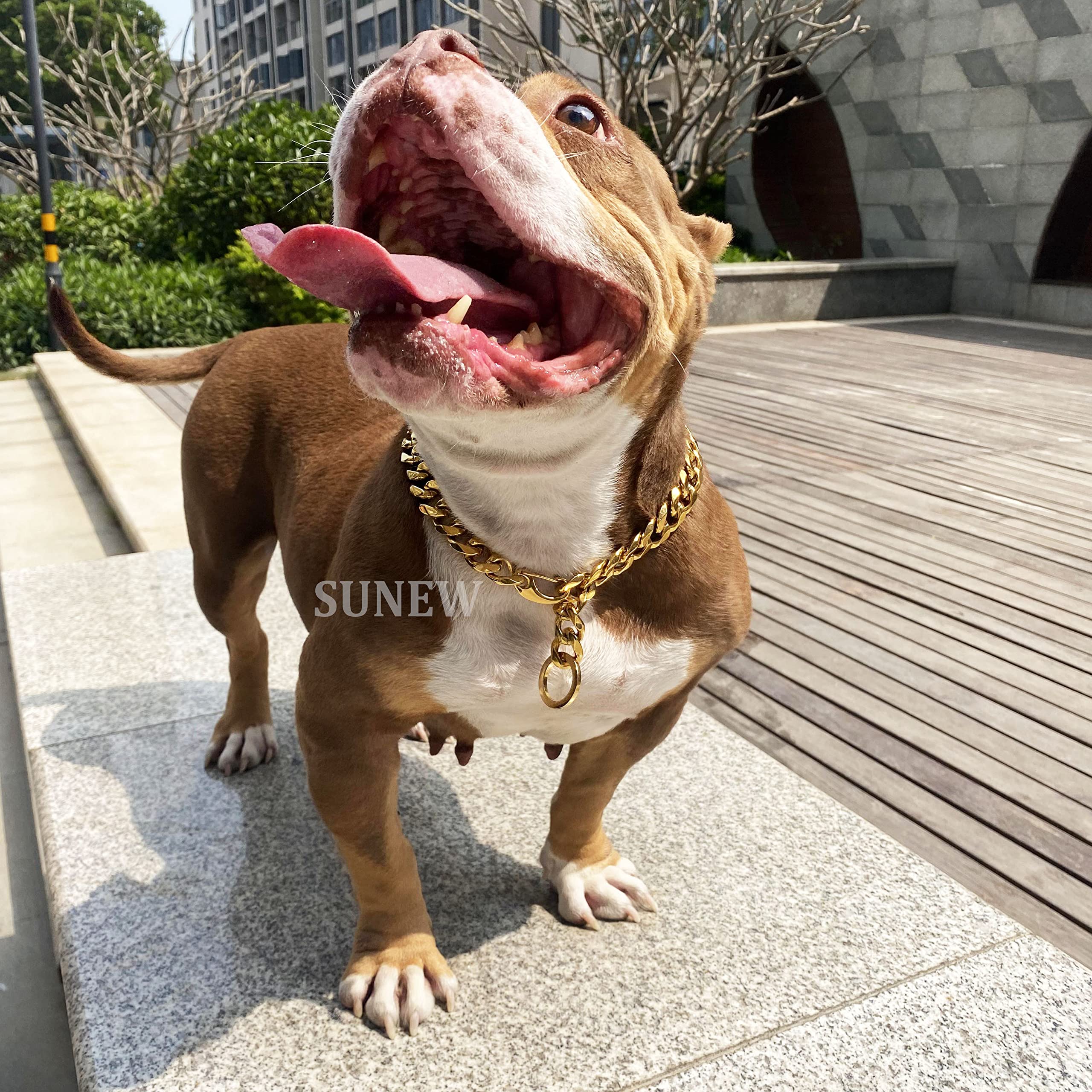 Adjustable Strong Lobster Clasps Dog Titan Collar Training Walking Metal Dog Duty Chew Proof for Medium Large Dogs American Pitbull German Shepherd